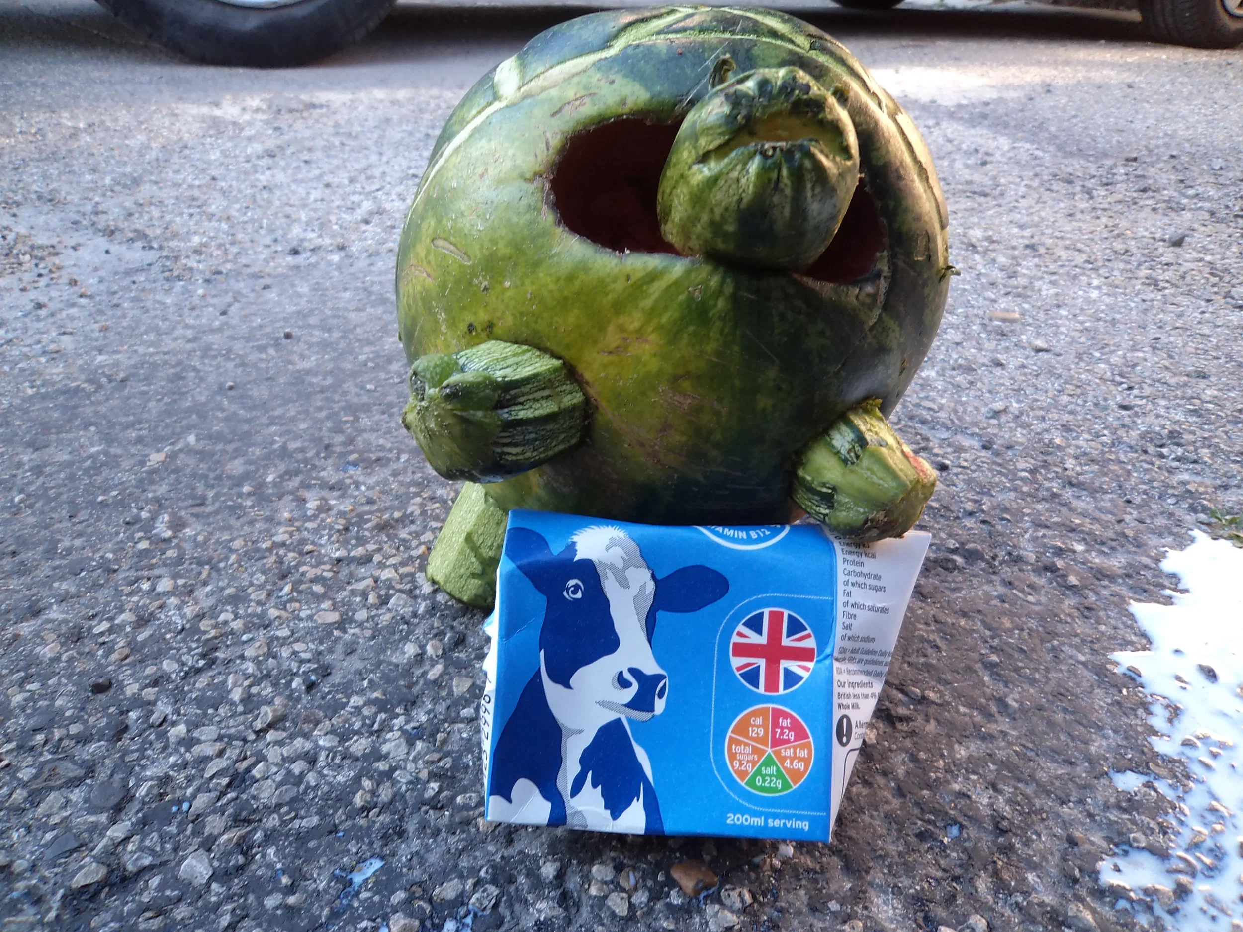 A watermelon shaped like a cow's head, with some green zucchinis as ears and horns, placed on an asphalt surface. In front, there is a blue milk carton with a cow illustration and nutritional information.