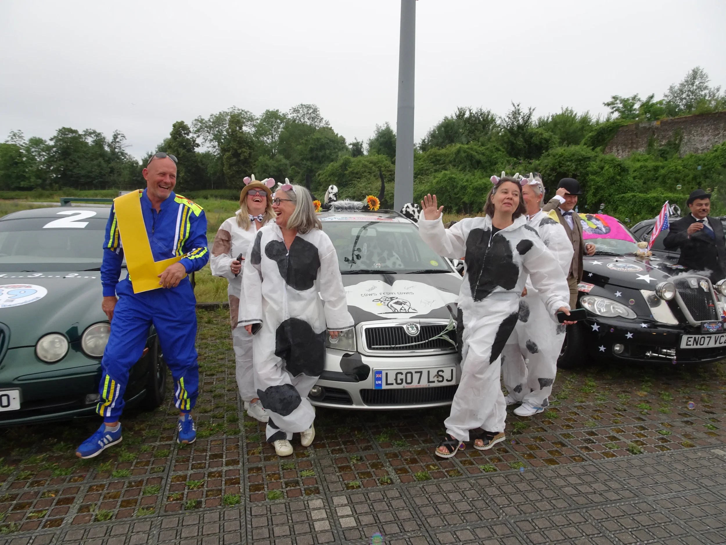 A group of people dressed in cow-patterned costumes and a man in blue racing attire, standing near decorated cars, smiling and laughing outdoors on a cloudy day.