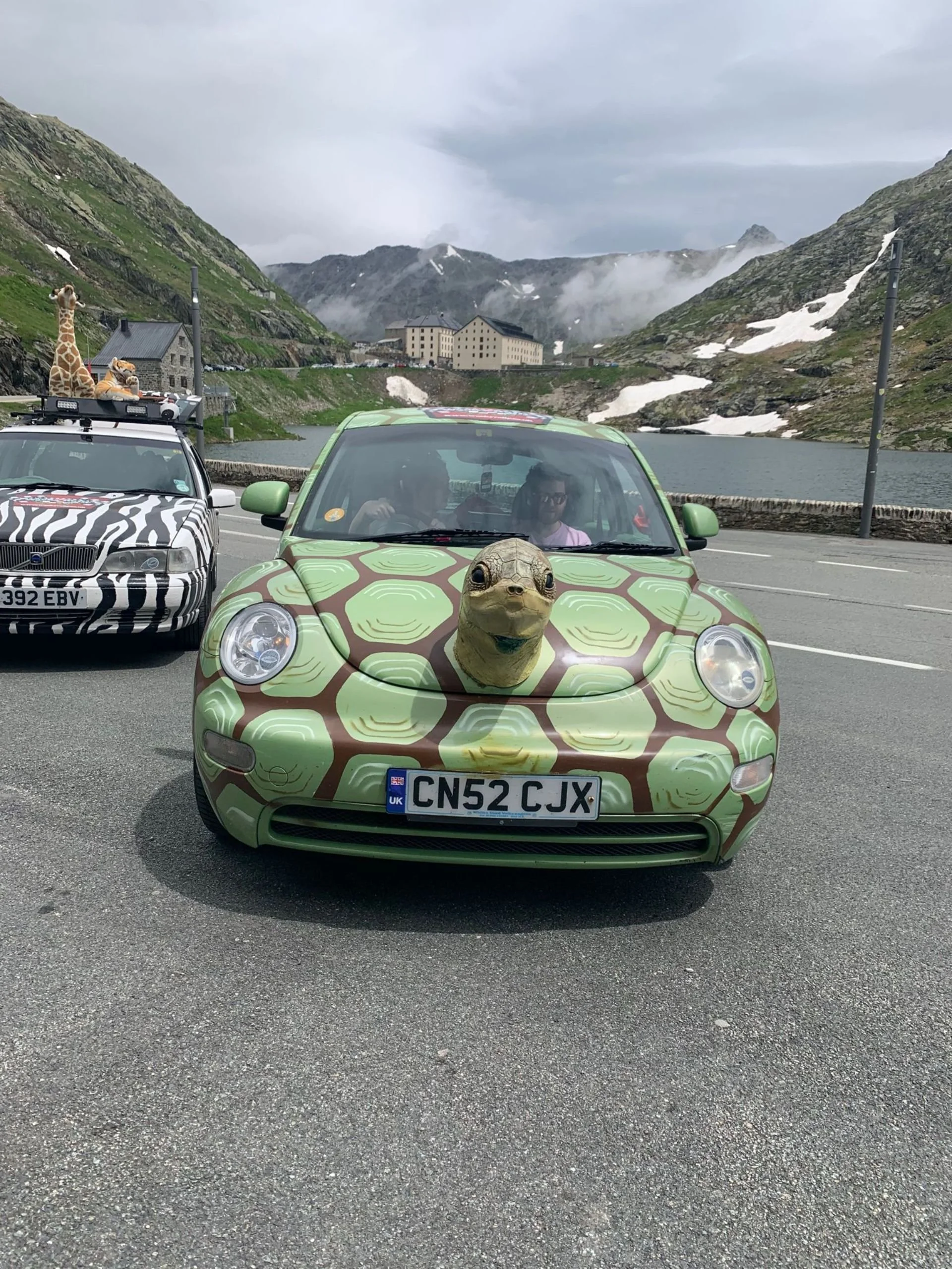 A car decorated with a turtle head on the hood, parked on a mountain road with a lake and snow-capped mountains in the background. Another vehicle with animal-themed decorations is visible to the left.