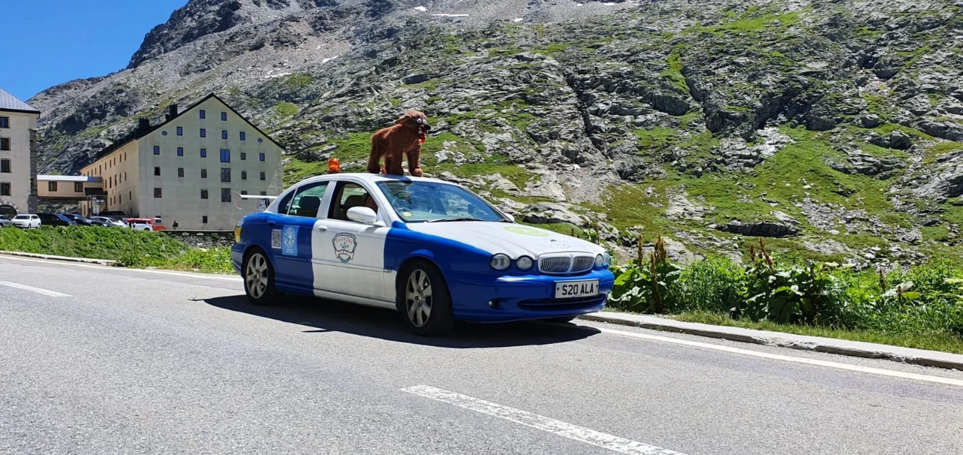 A police car with a brown dog mascot on top, in a mountainous area with buildings and green vegetation.