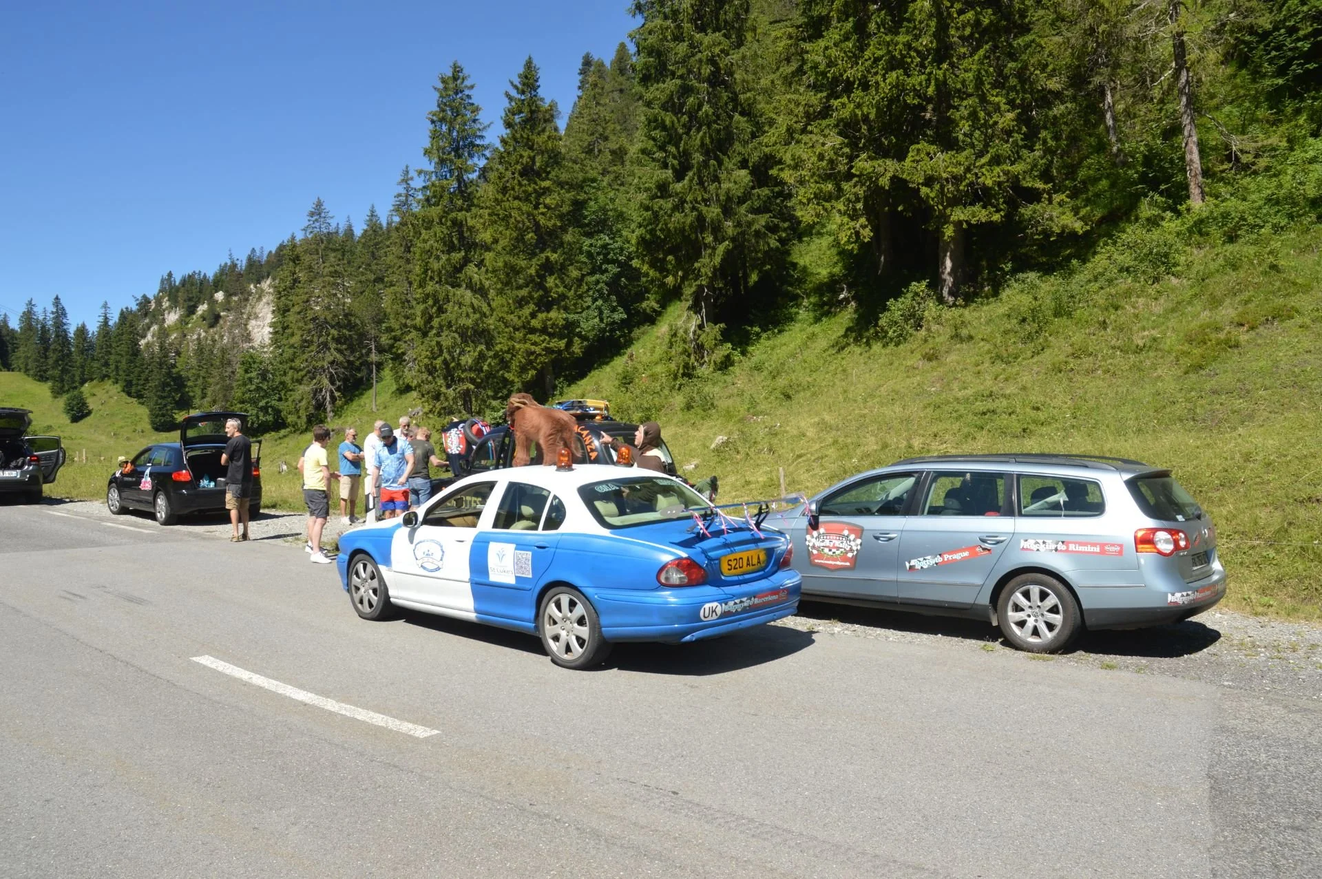 Group of people standing near parked cars along a scenic mountain road, with green trees and a hillside in the background on a sunny day.