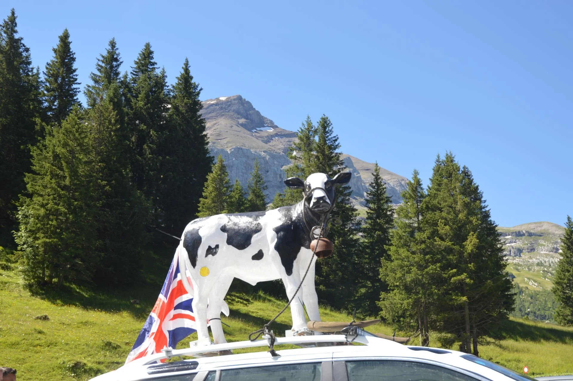 A cow statue mounted on top of a vehicle, decorated with a British flag, in a green mountainous landscape with trees and rocky hills under a clear blue sky.