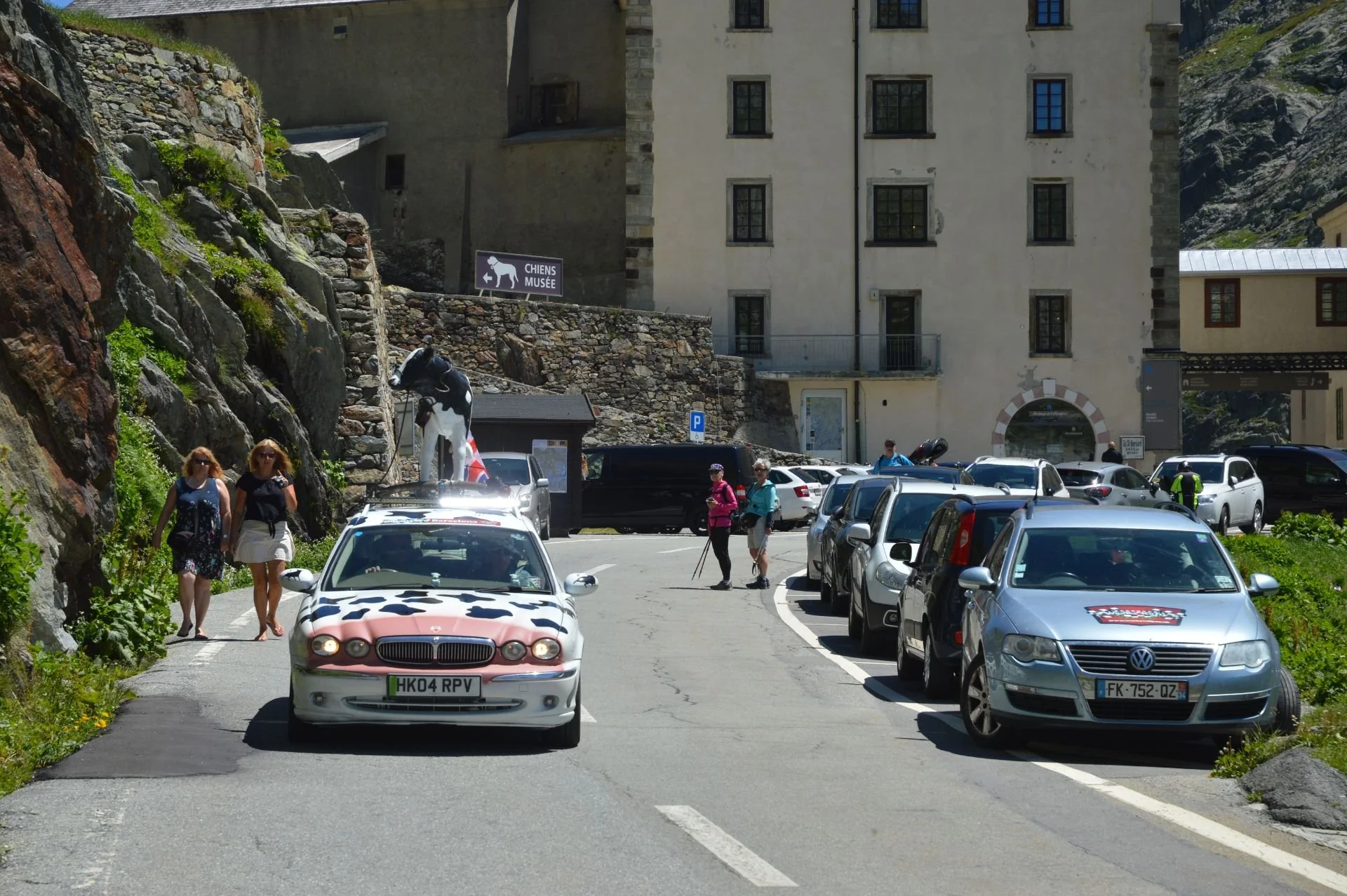 A parking area with several parked cars and people walking. One car is decorated with a cow pattern and has a cow statue on top. There is a sign indicating a dog museum and a building in the background.