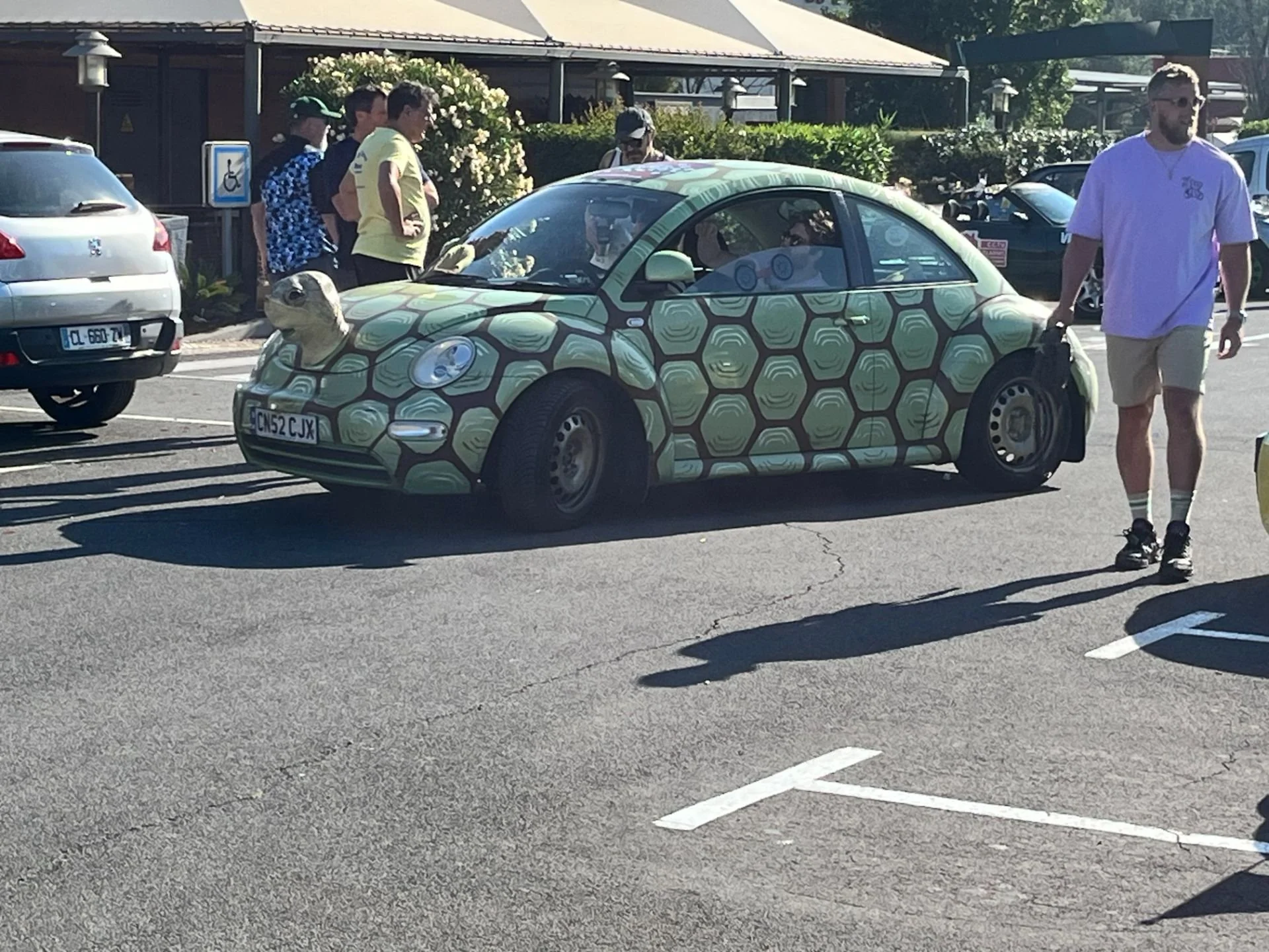 A Volkswagen Beetle decorated with a honeycomb pattern, featuring a turtle perched on the front. The car is parked in a lot near people and other vehicles, with some individuals standing and walking around.