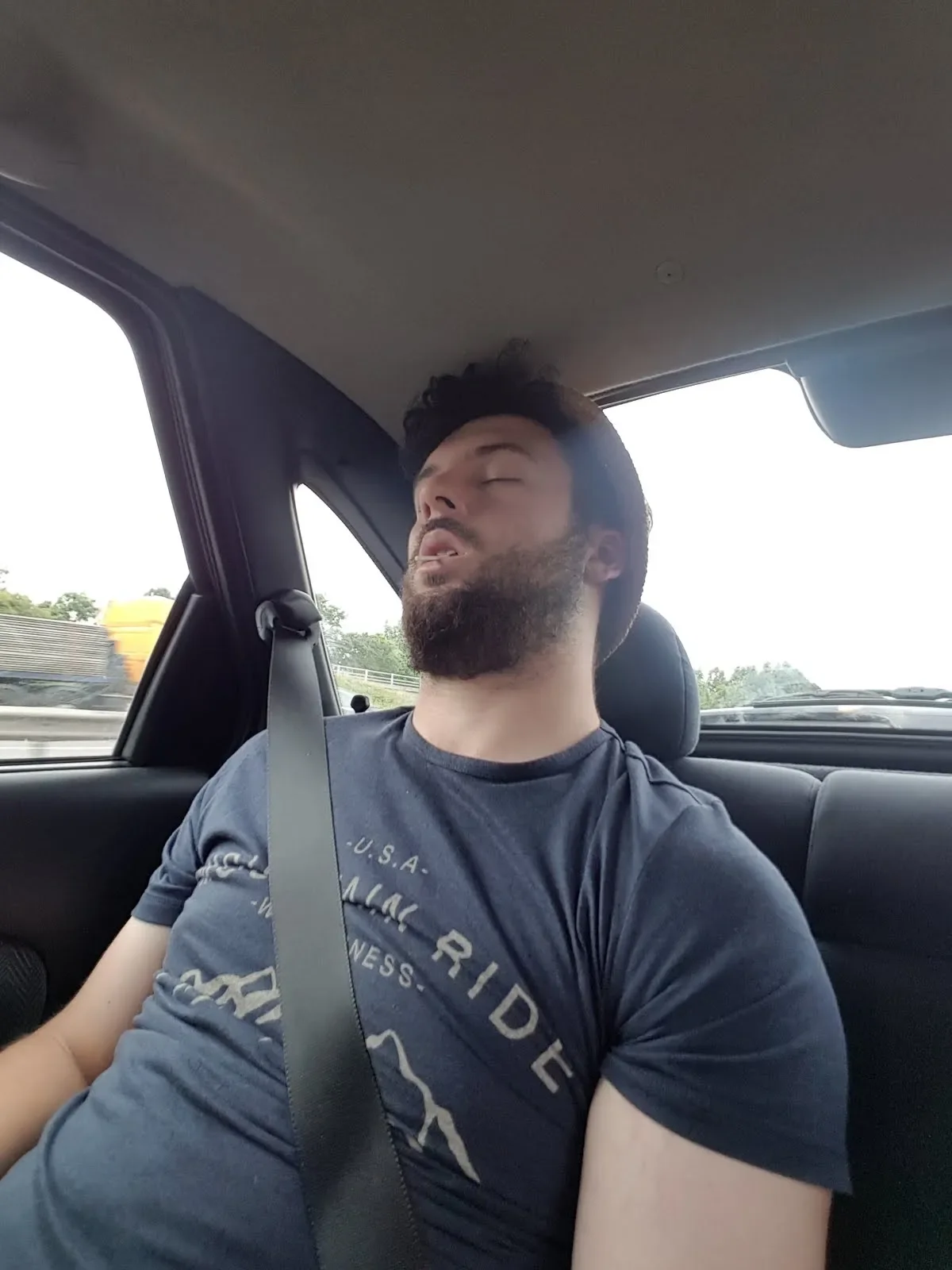 Man with beard and dark hair sleeping in the back seat of a car with a seatbelt on, wearing a navy T-shirt, with a blurred view of the highway and trees outside the window.