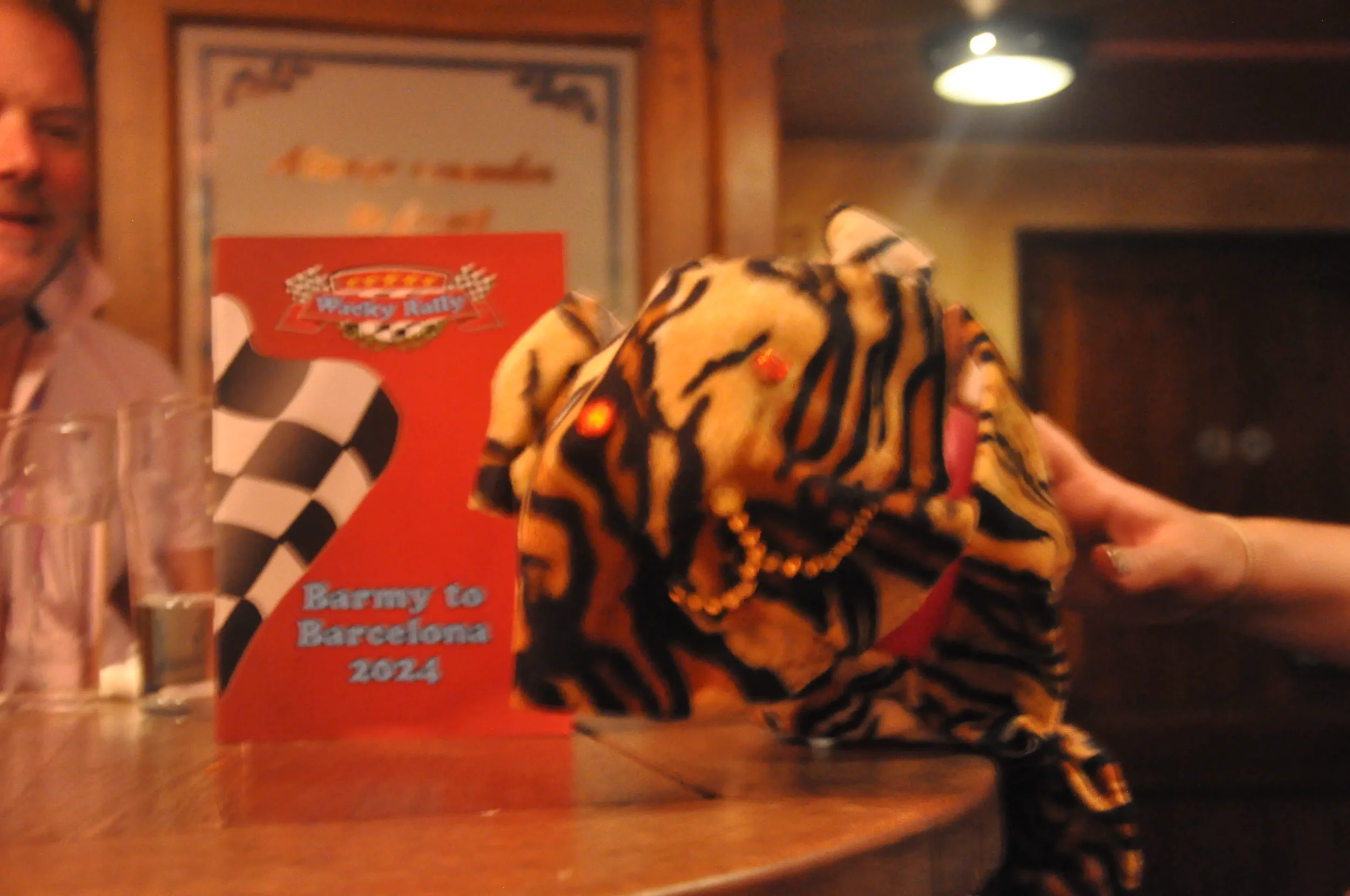 A stuffed tiger toy with LED lights and a gold chain on a table. A red card with racing themes and the text "Barry to Barcelona 2024" is next to it. There is a person partially visible in the background and a glass of water on the table.