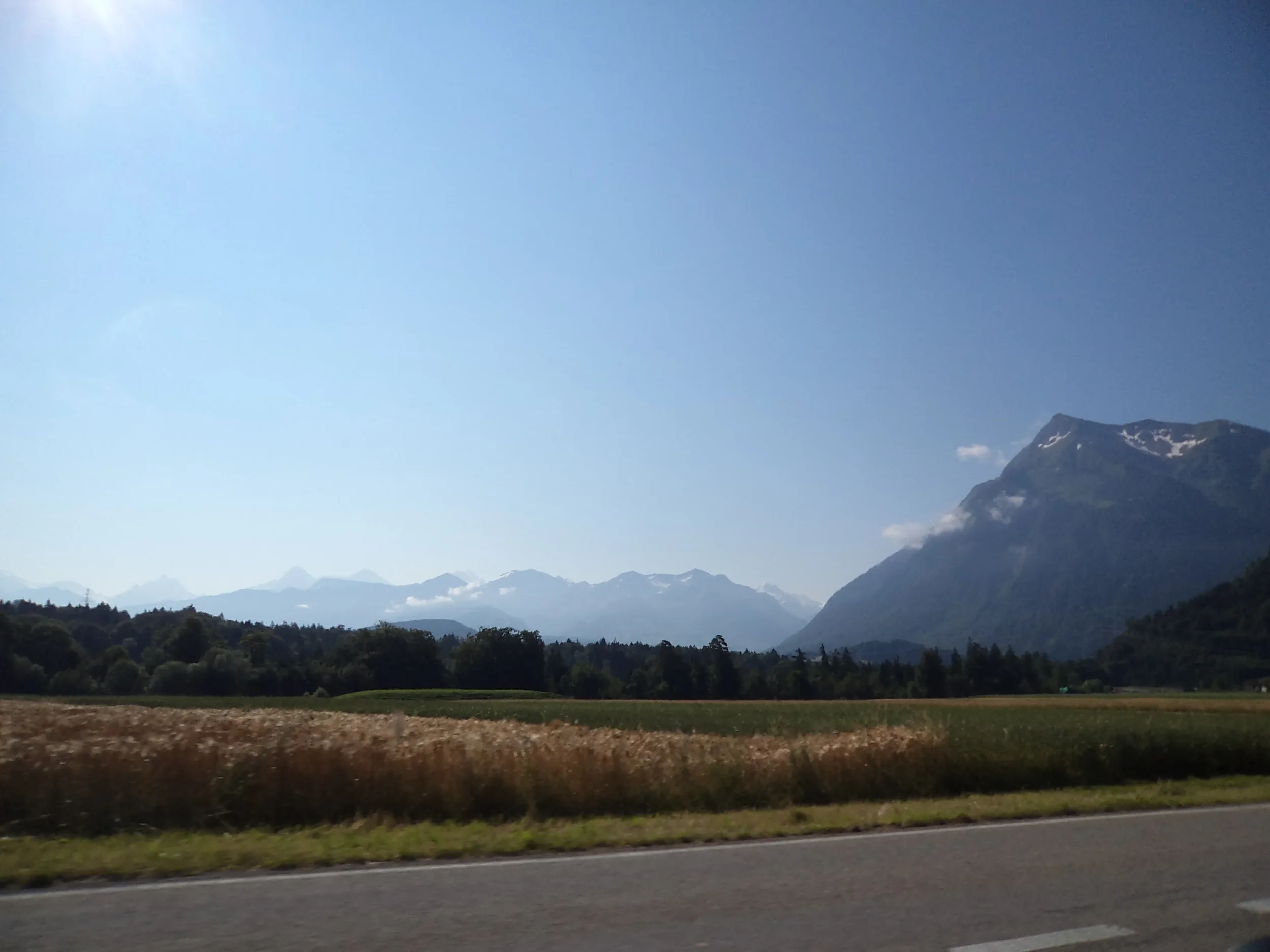 Scenic view of mountains with snow patches, green forests, and a field with tall grass beside a road under a clear blue sky.