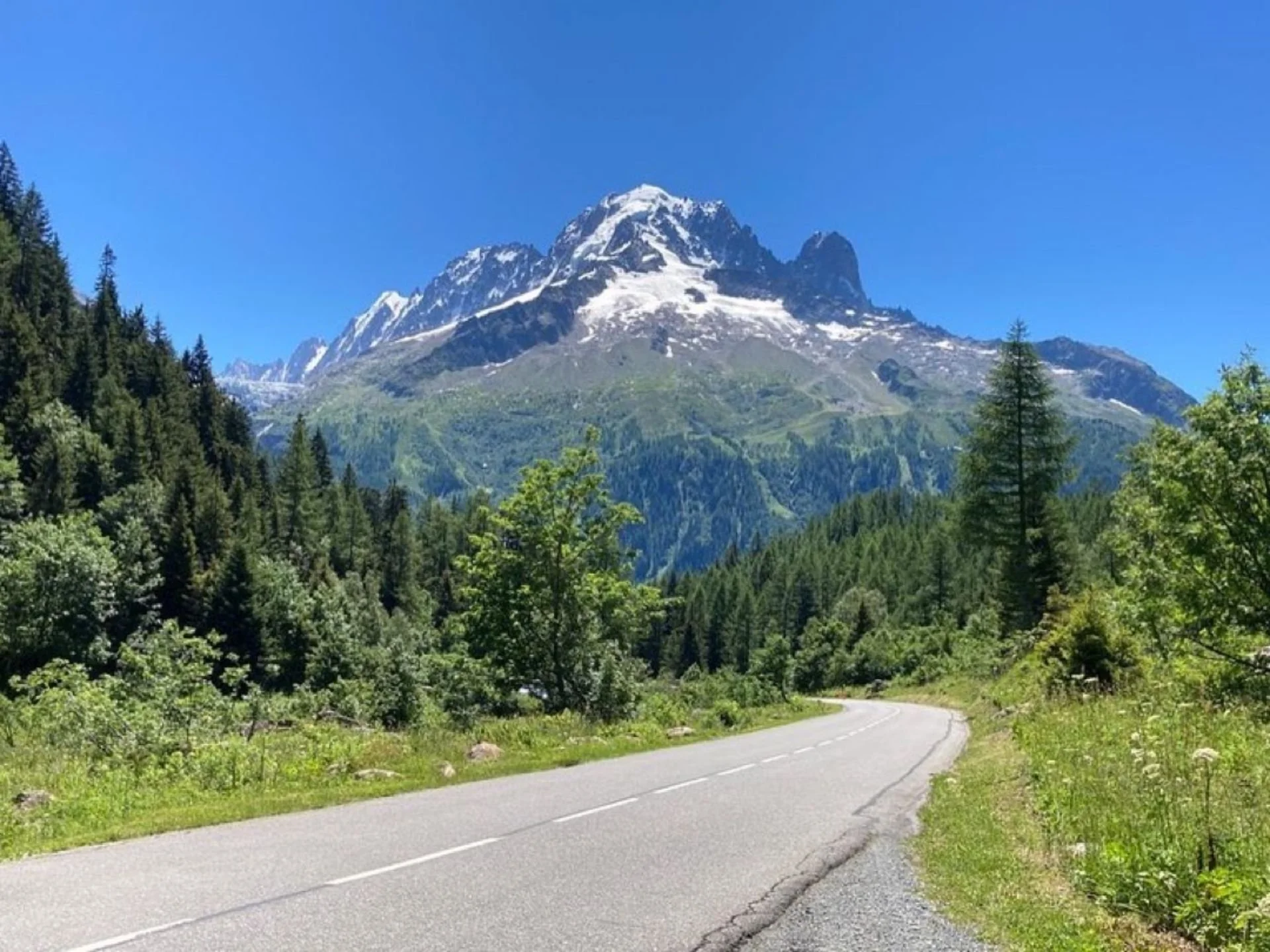 A winding mountain road with green trees and grass, leading to a snow-capped mountain peak under a clear blue sky.