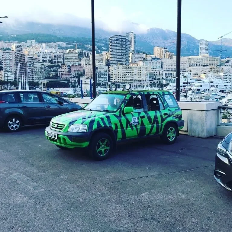 A silver and green compact SUV with a zebra stripe pattern, parked next to other cars, with an urban cityscape and mountains in the background.