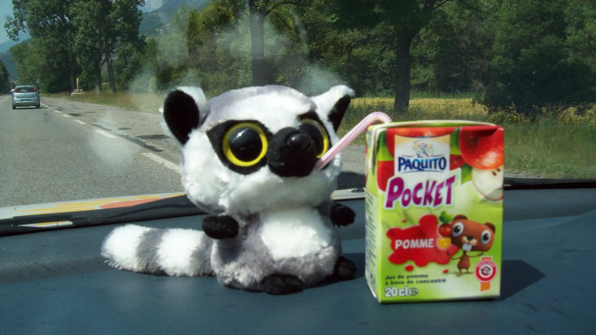 A plush tiger with large yellow eyes, black ears, and a striped tail on a car dashboard, next to a small fruit juice box labeled 'Paquito Pocket Pomme' with a straw, on a view of a countryside road through the windshield.