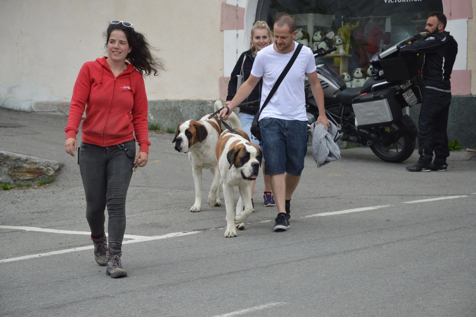 Four people walking on a sidewalk: a woman in a red hoodie and gray pants, a man in a white t-shirt and shorts holding two large dogs with brown and white fur, a woman in black standing in the background, and a man in black near a motorcycle.