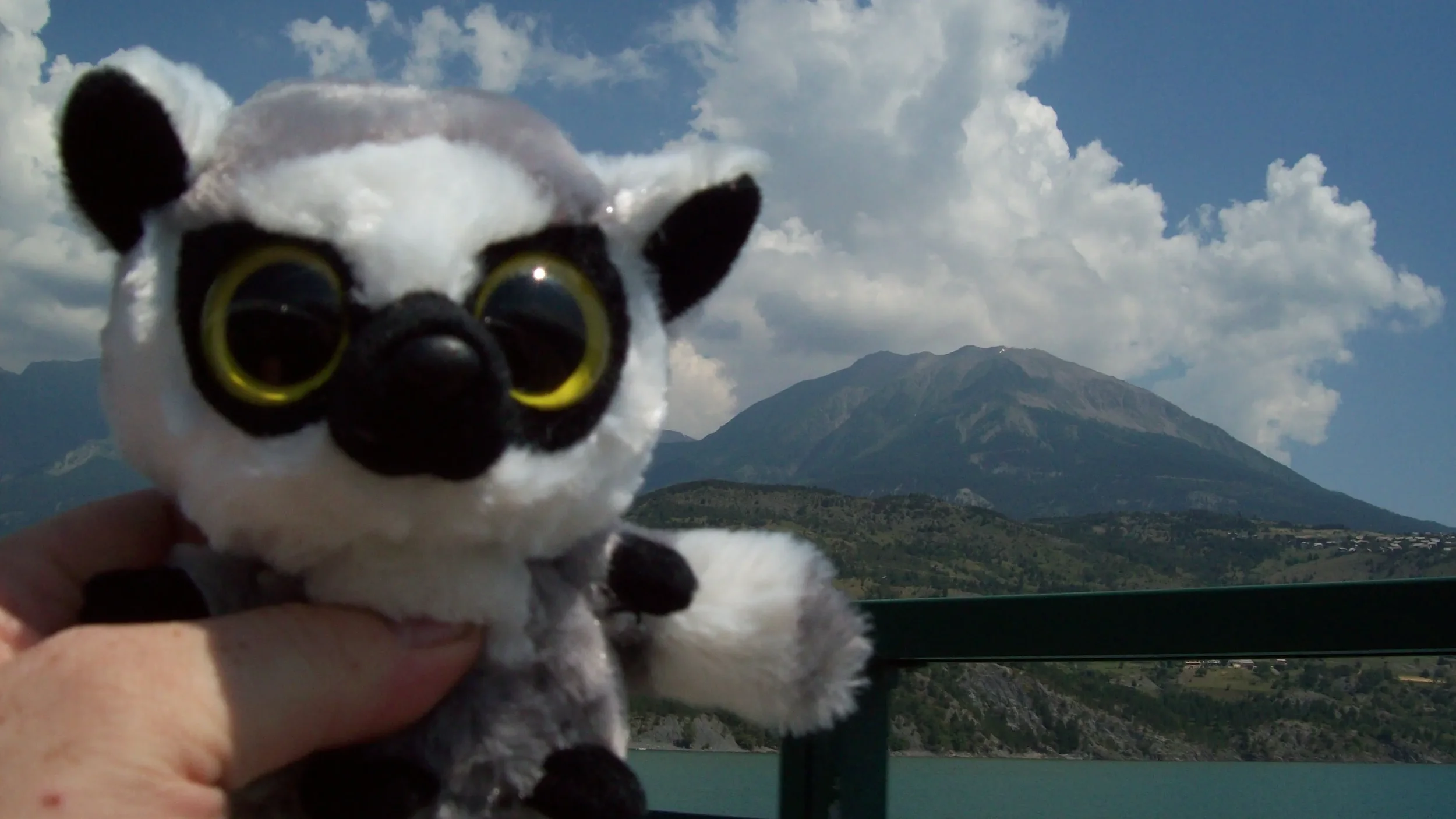 Hand holding a panda plush toy with mountain and cloudy sky in the background.