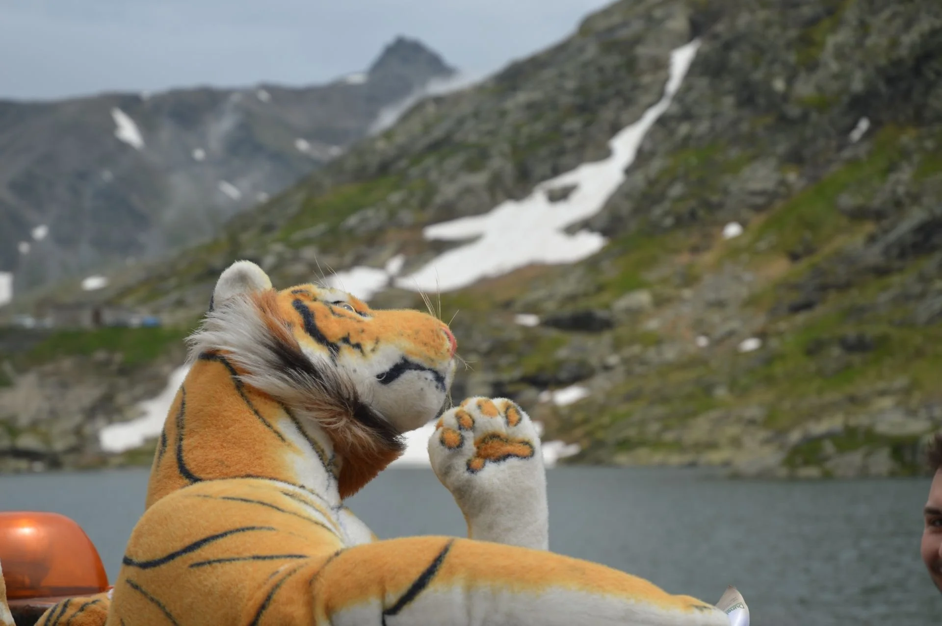 Person in a tiger costume relaxing by a mountain lake with snow patches, surrounded by rocky and green hills.