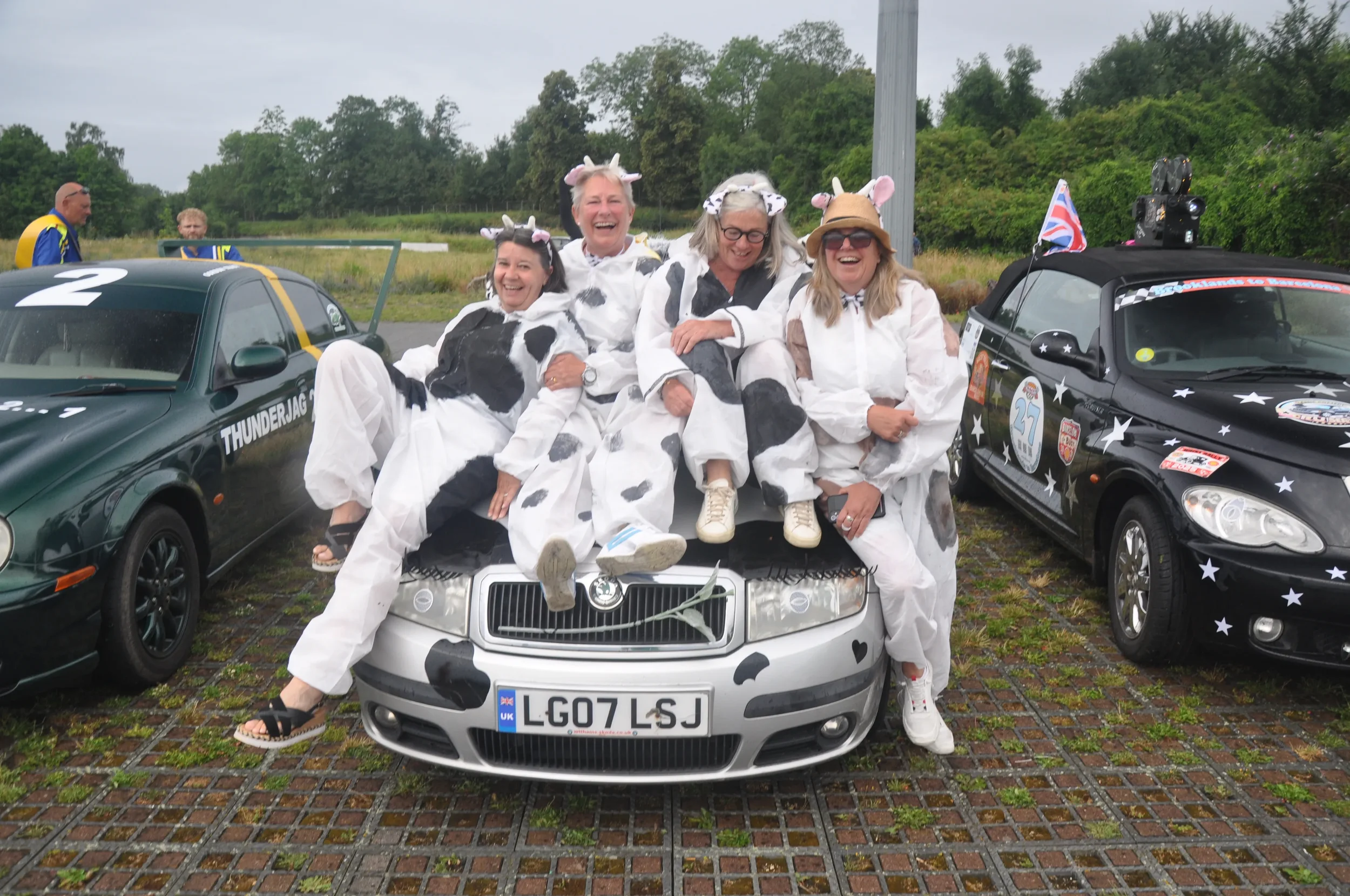 Group of women dressed in cow costumes sitting on the hood of a silver car with cow print patterns, with two other decorated cars on either side.