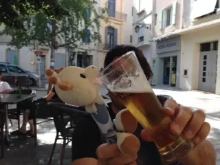Person holding a plush pig and a glass of beer in an outdoor cafe.