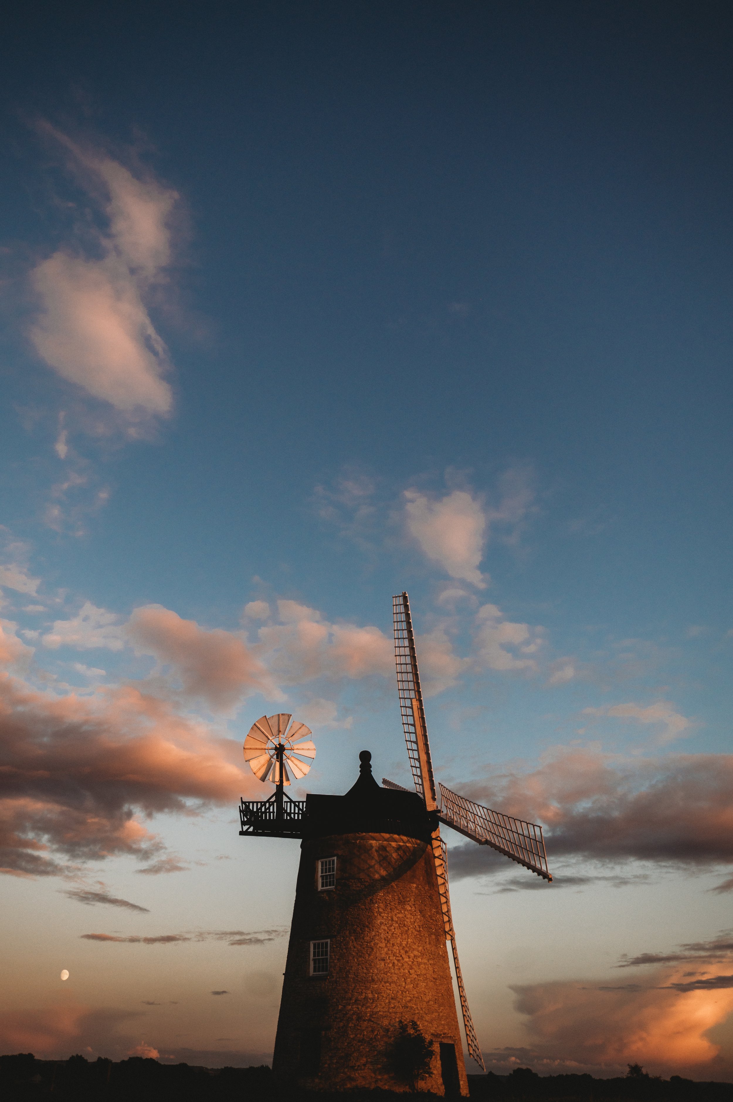 CLP_6973-2.jpg