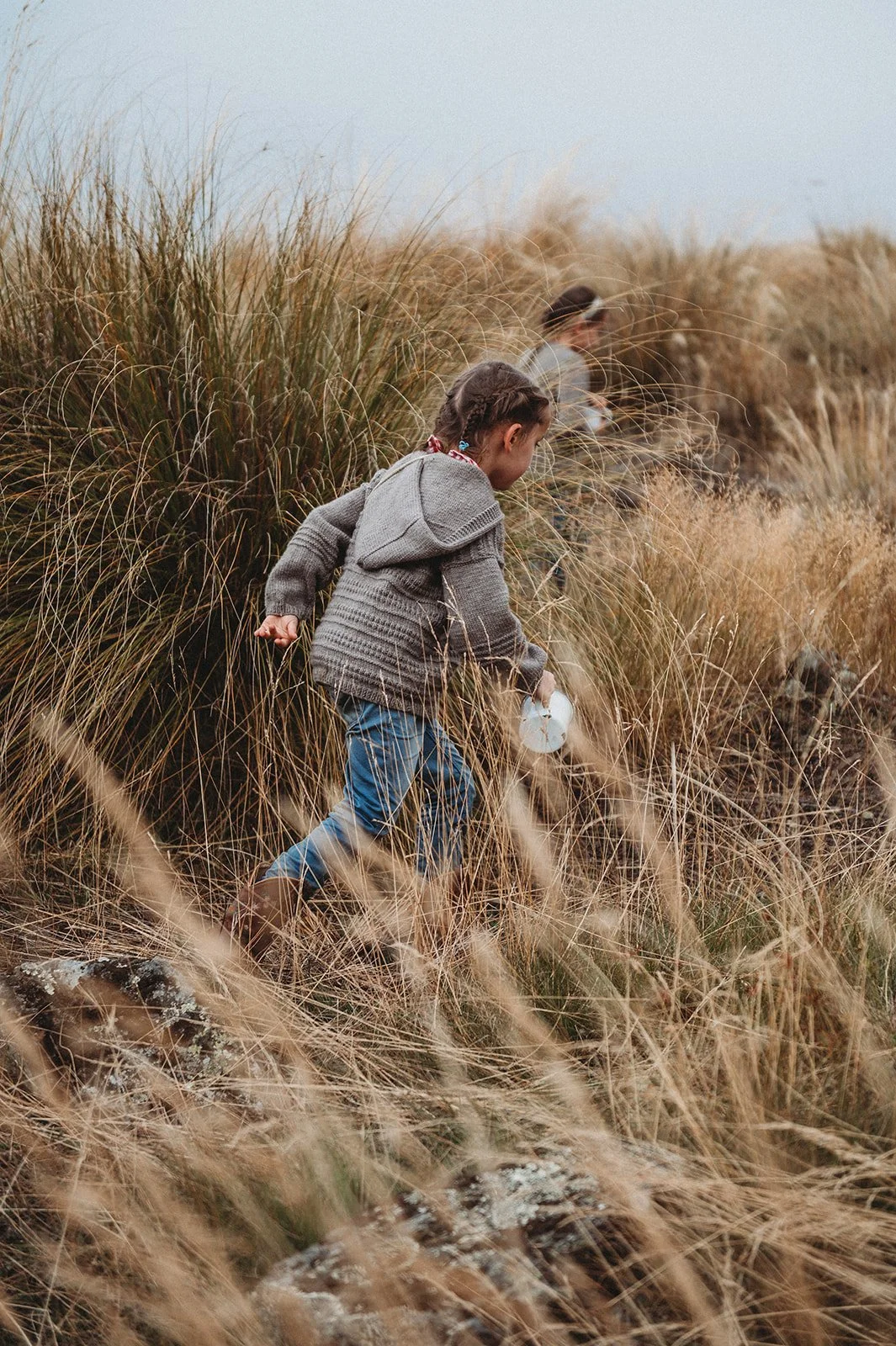 PCBlackMerino 2Apr2023_CLP16.jpg