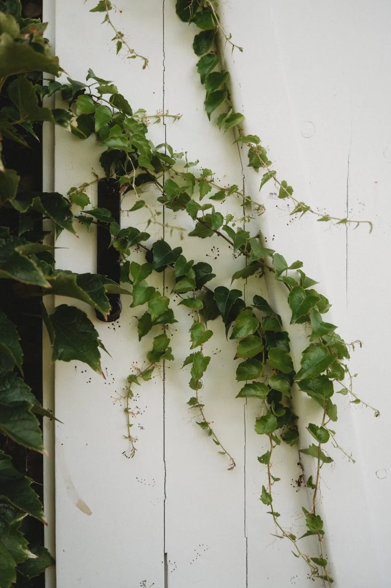 Praire Aug 25 CLP4.jpg