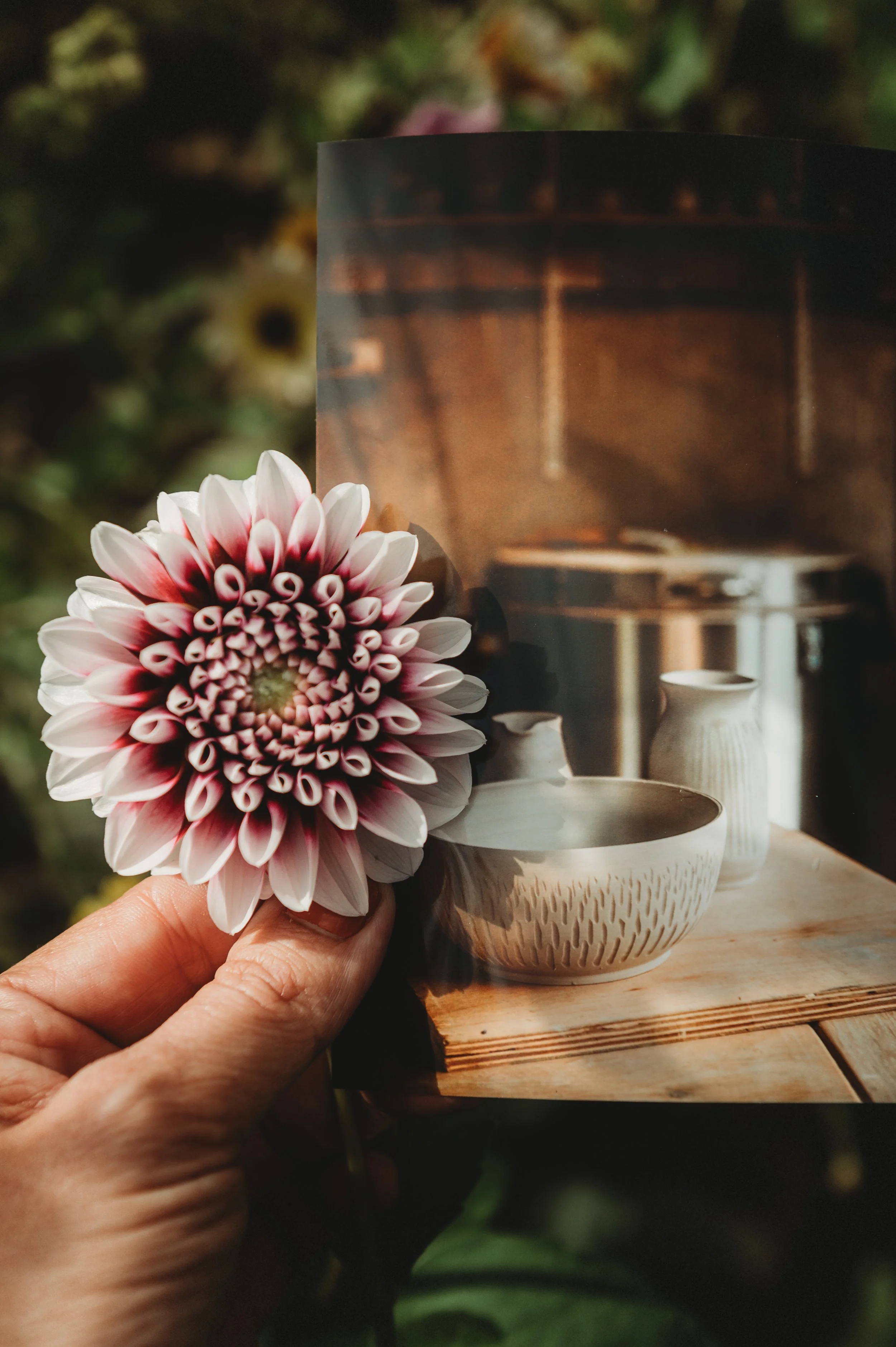 MELISSA JOLLY CERAMICS