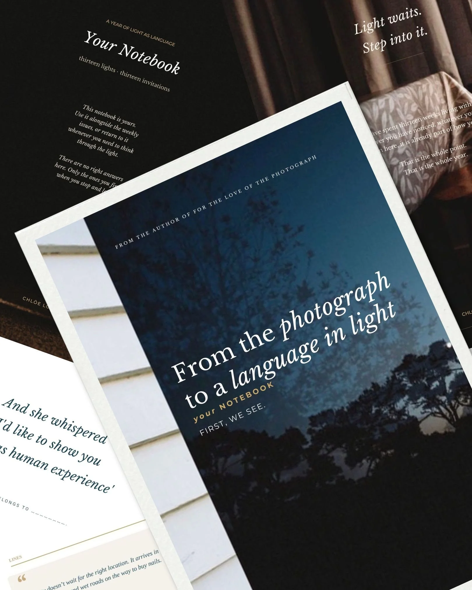 A Year of Light as Language // Volume One: First, We See