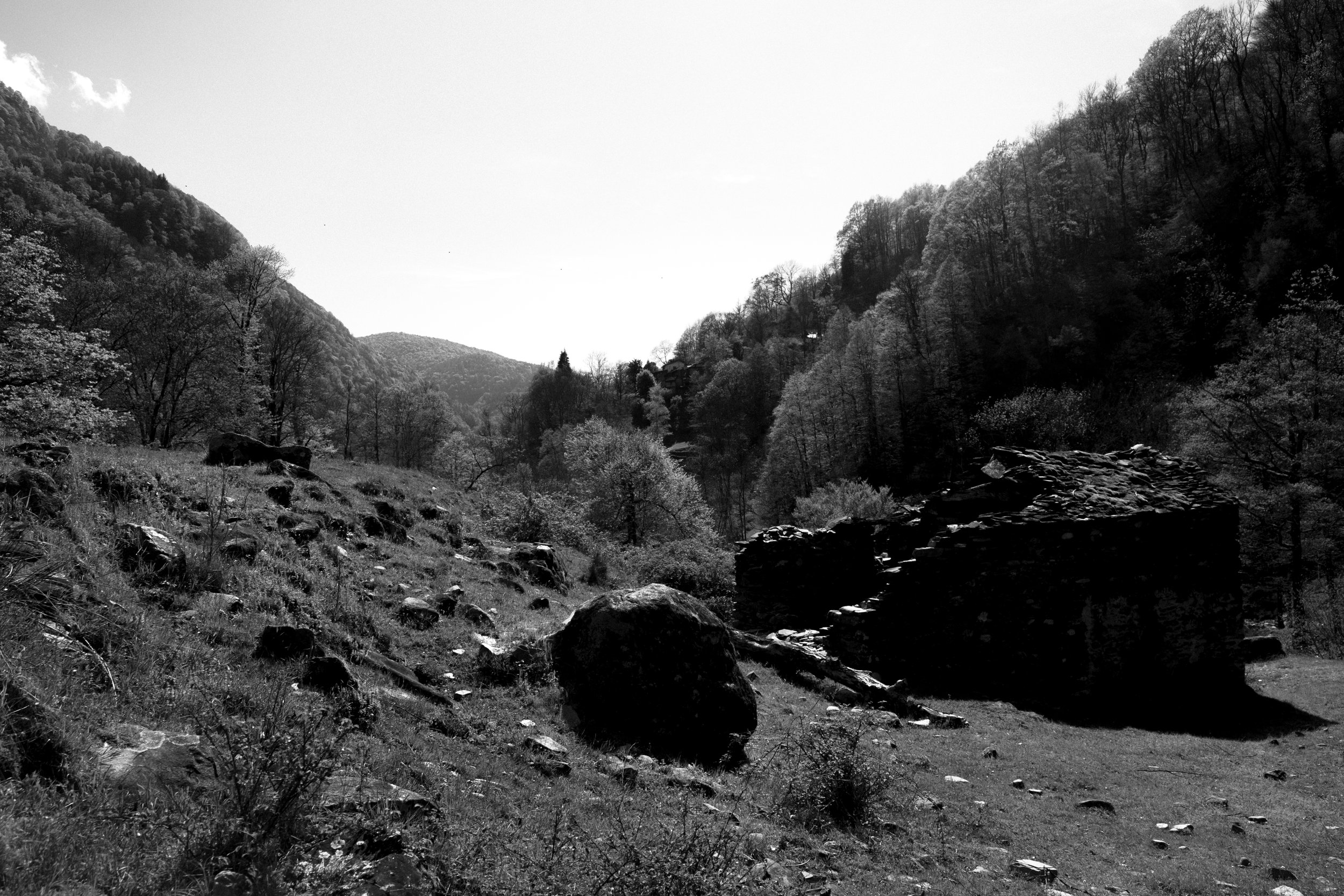 DSCF0242.jpg