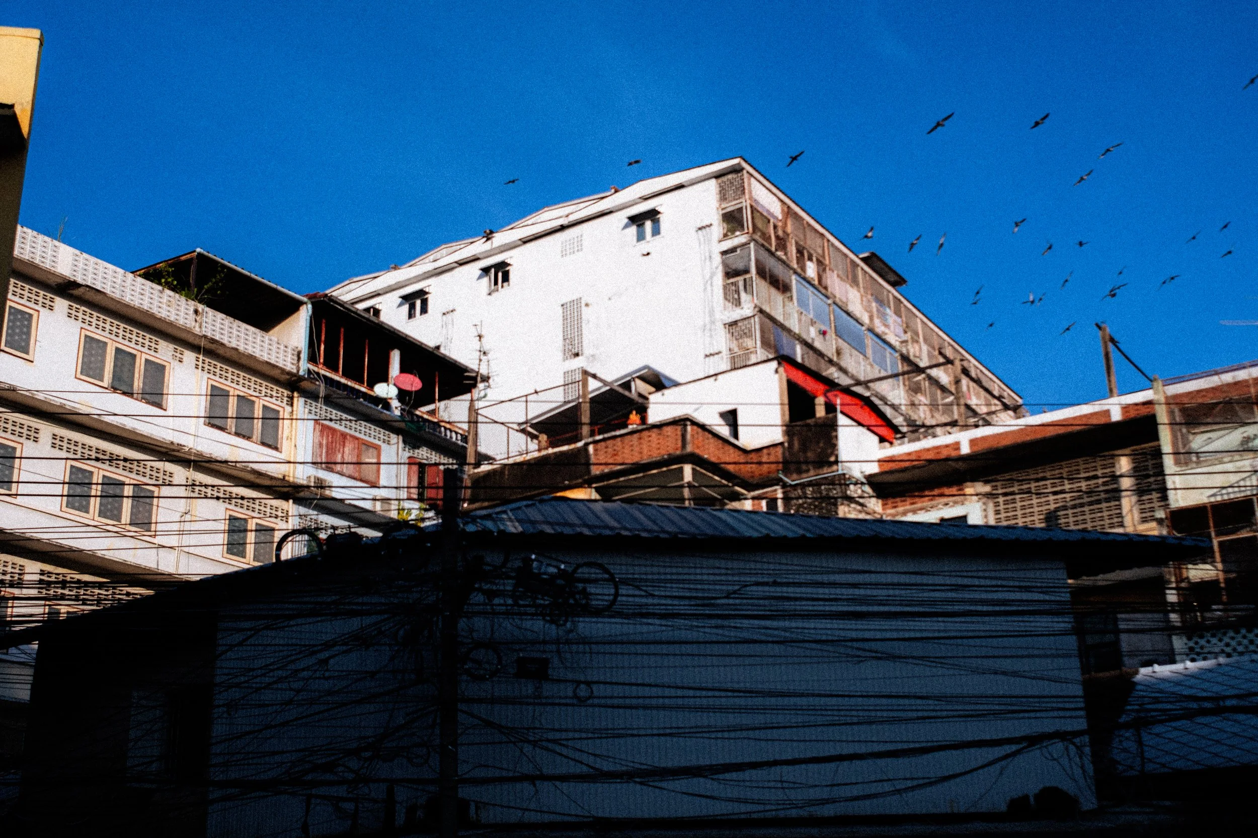 DSCF5344.jpg