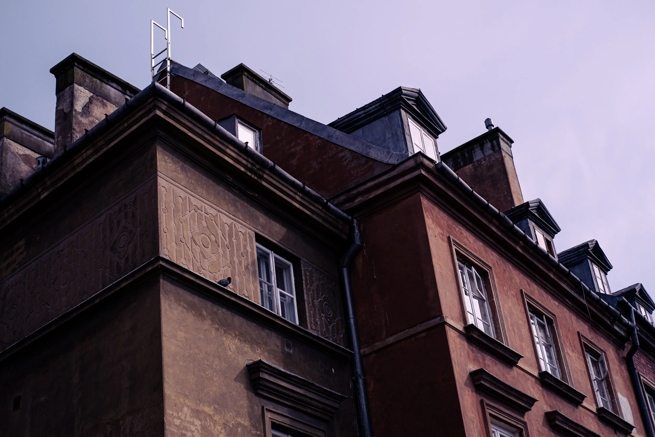 DSCF9373.jpg
