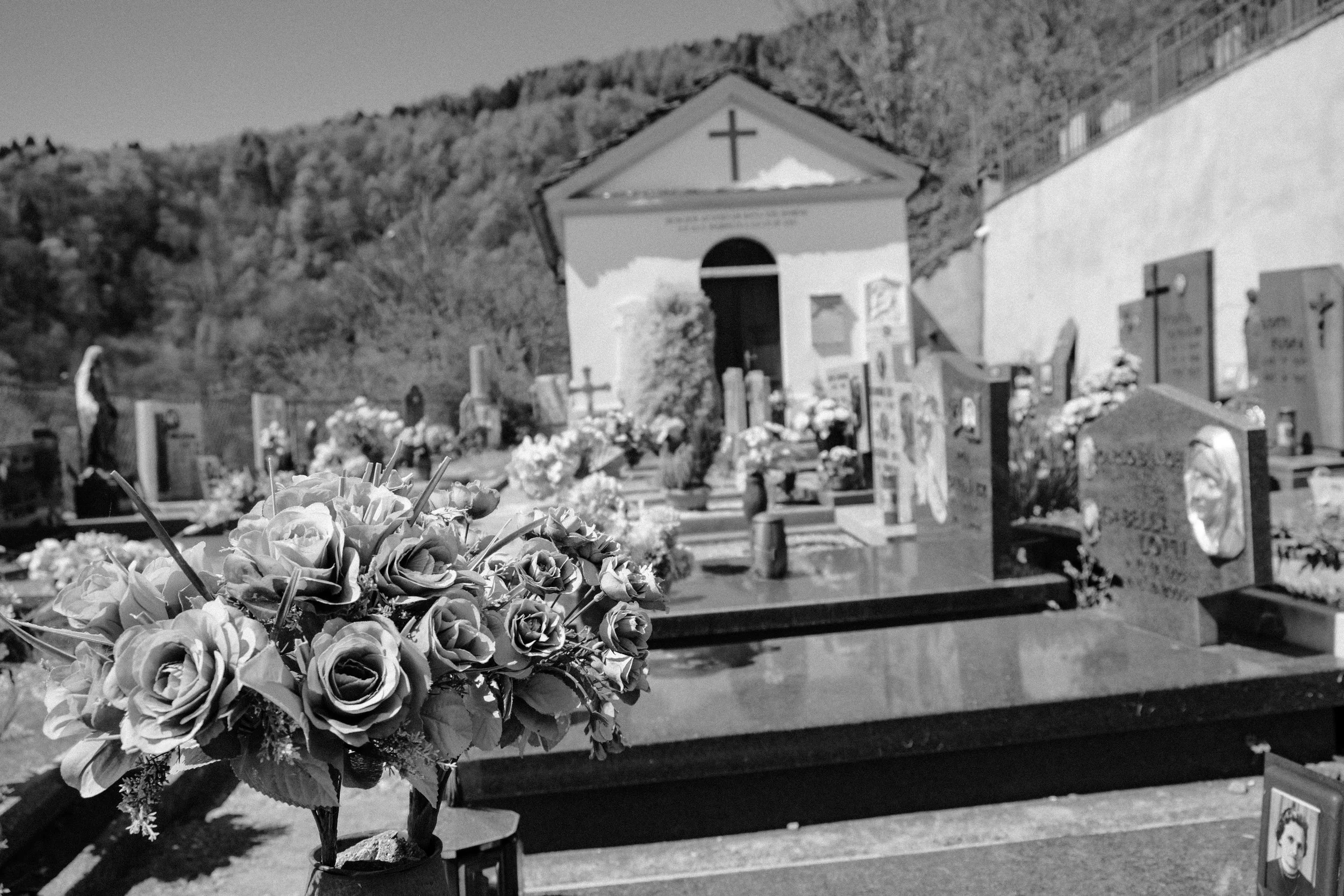DSCF9970.jpg