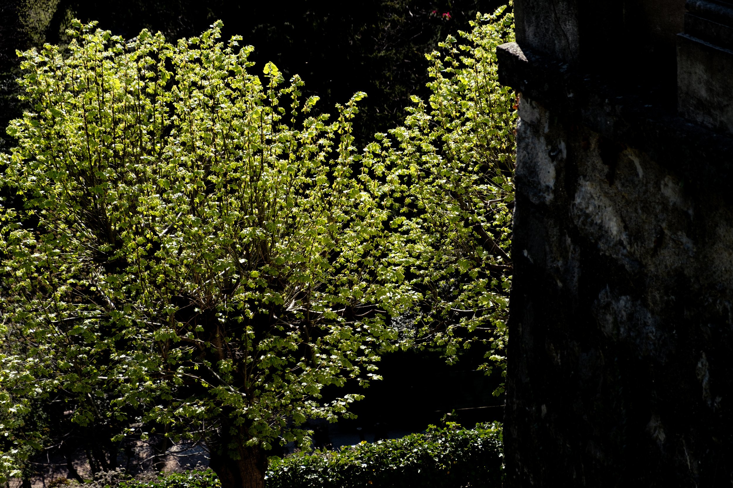 DSCF6568.jpg