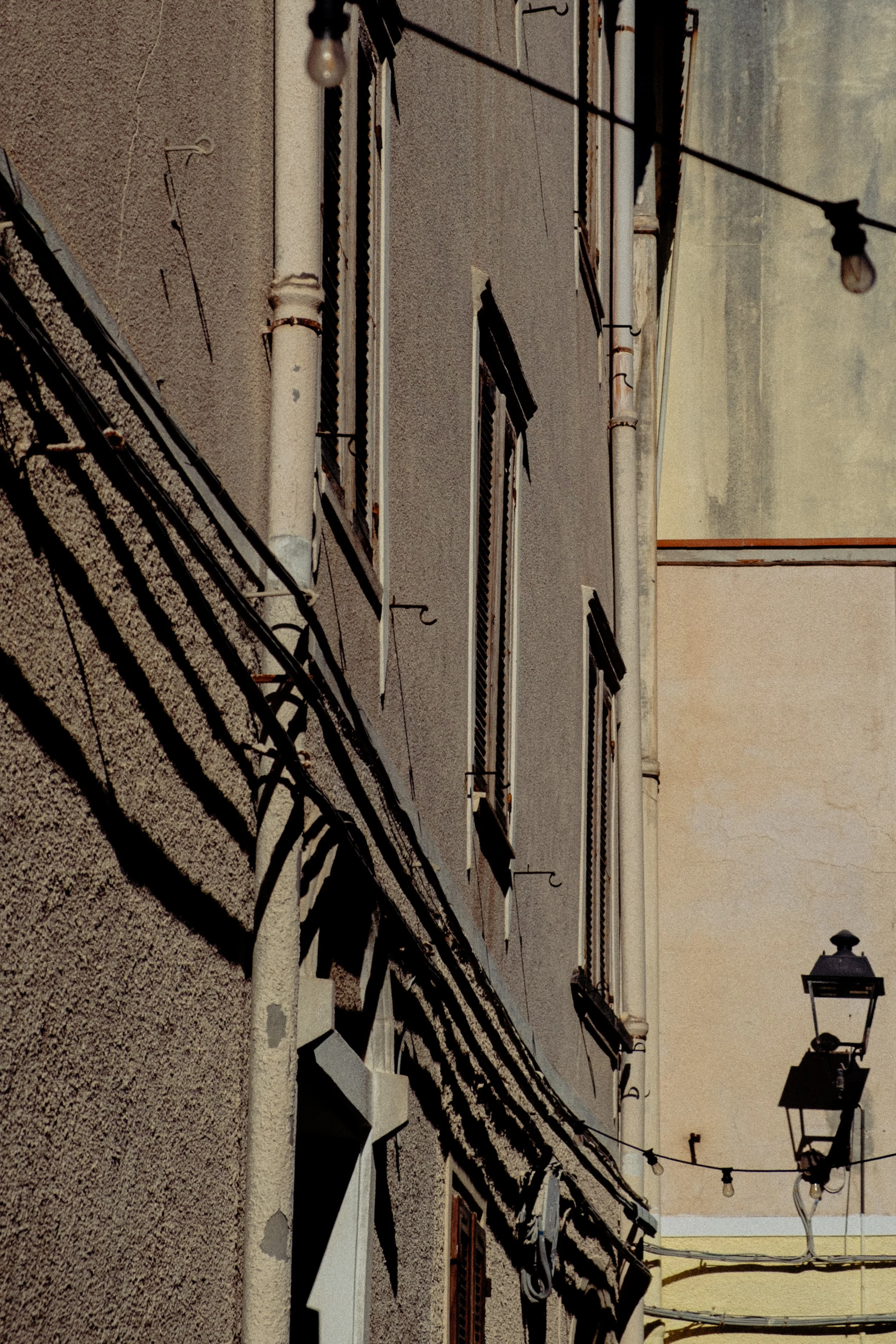 DSCF5823.jpg