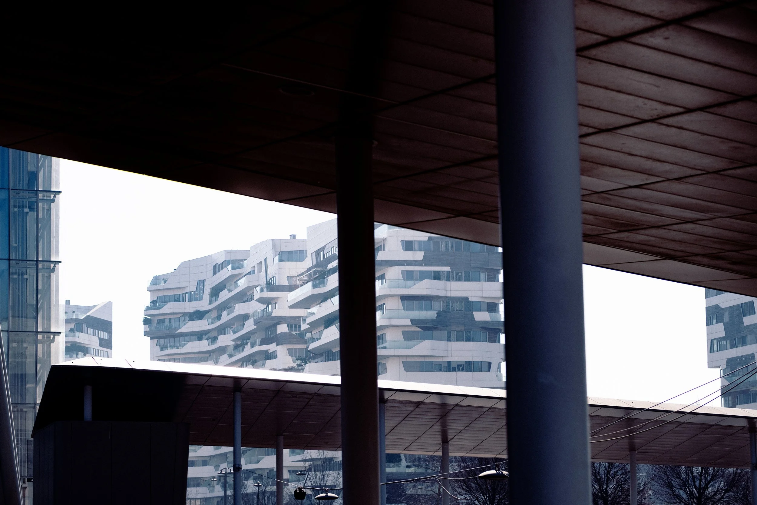 DSCF4617.jpg