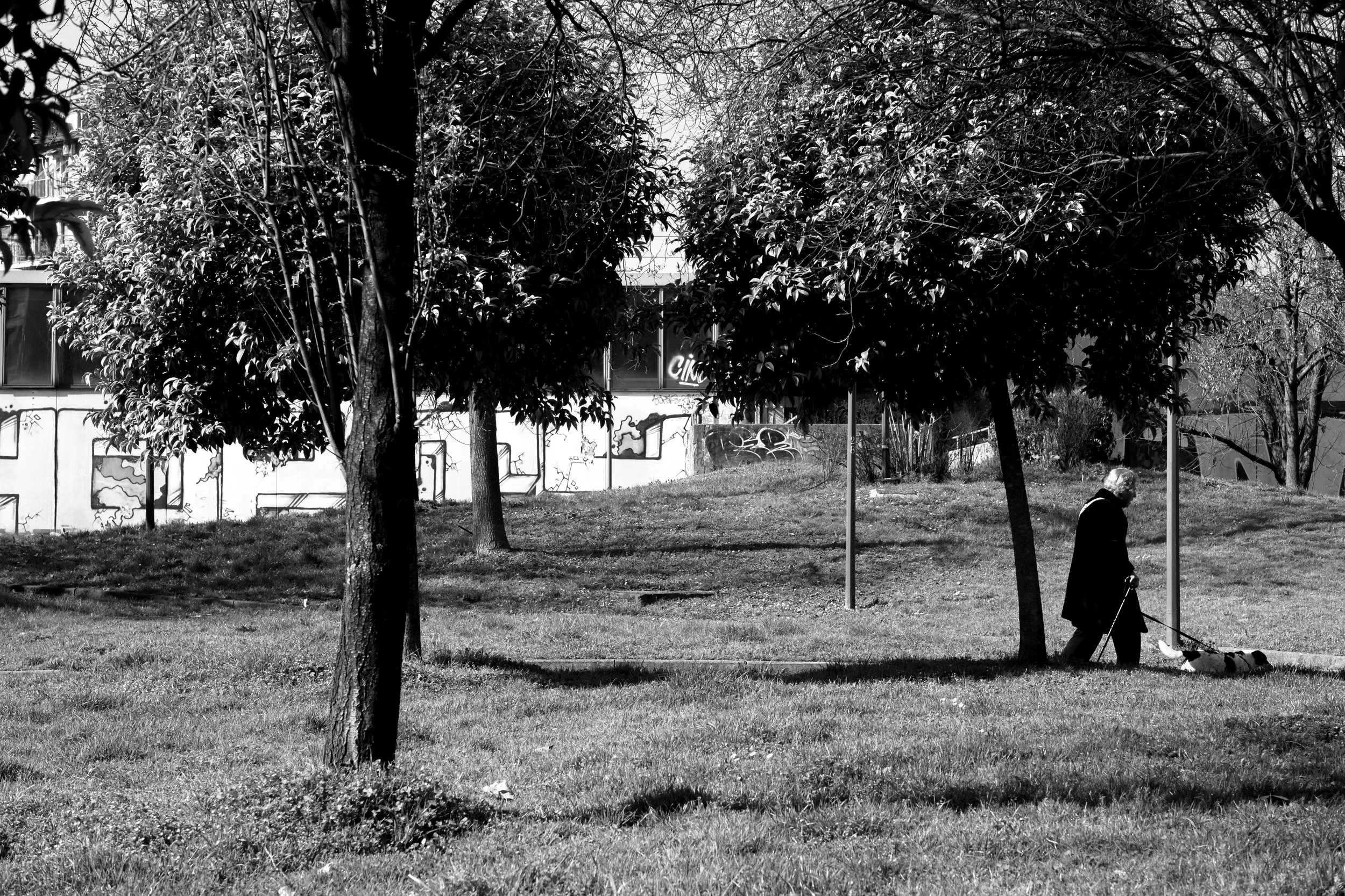 DSCF4933.jpg