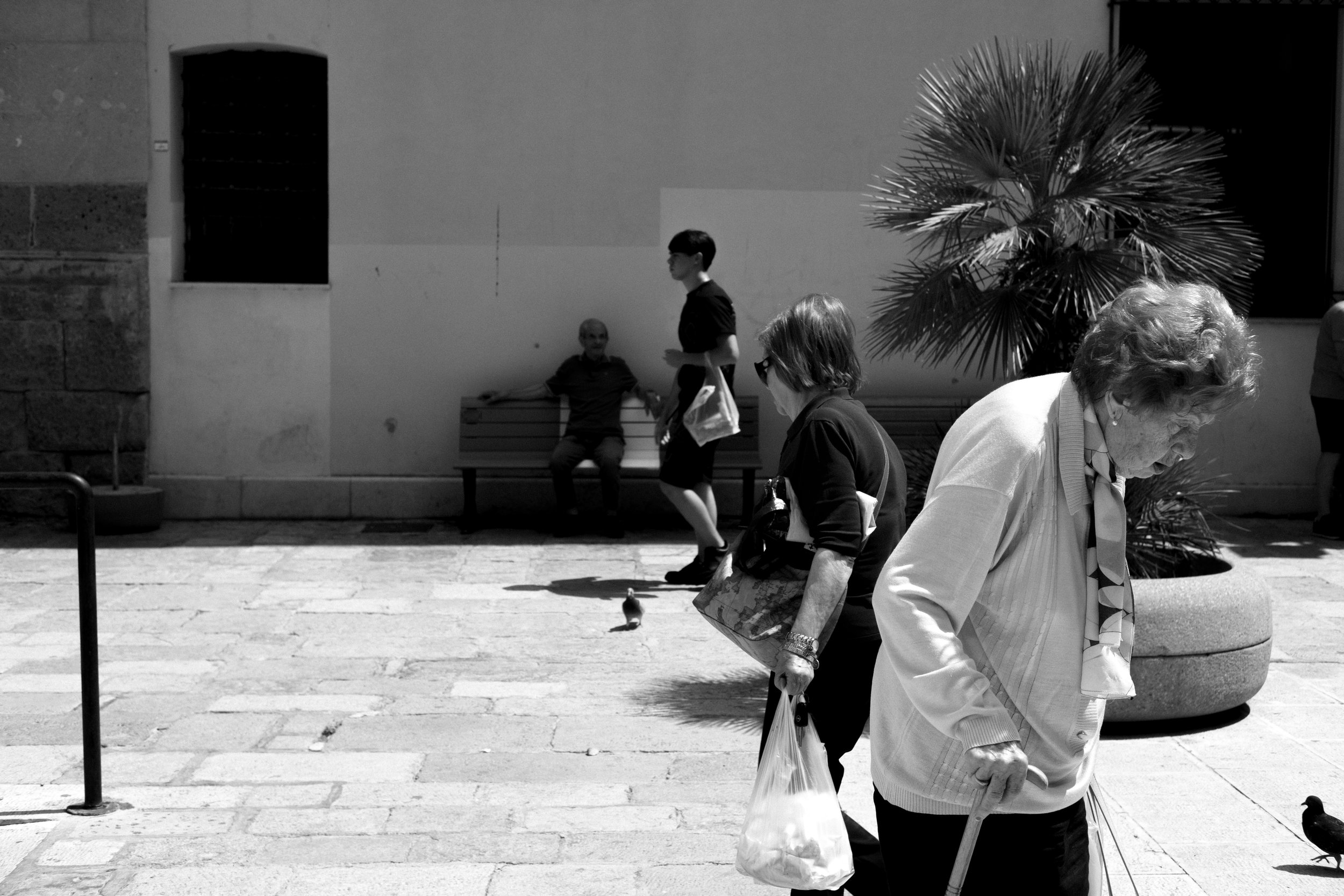 DSCF0930.jpg