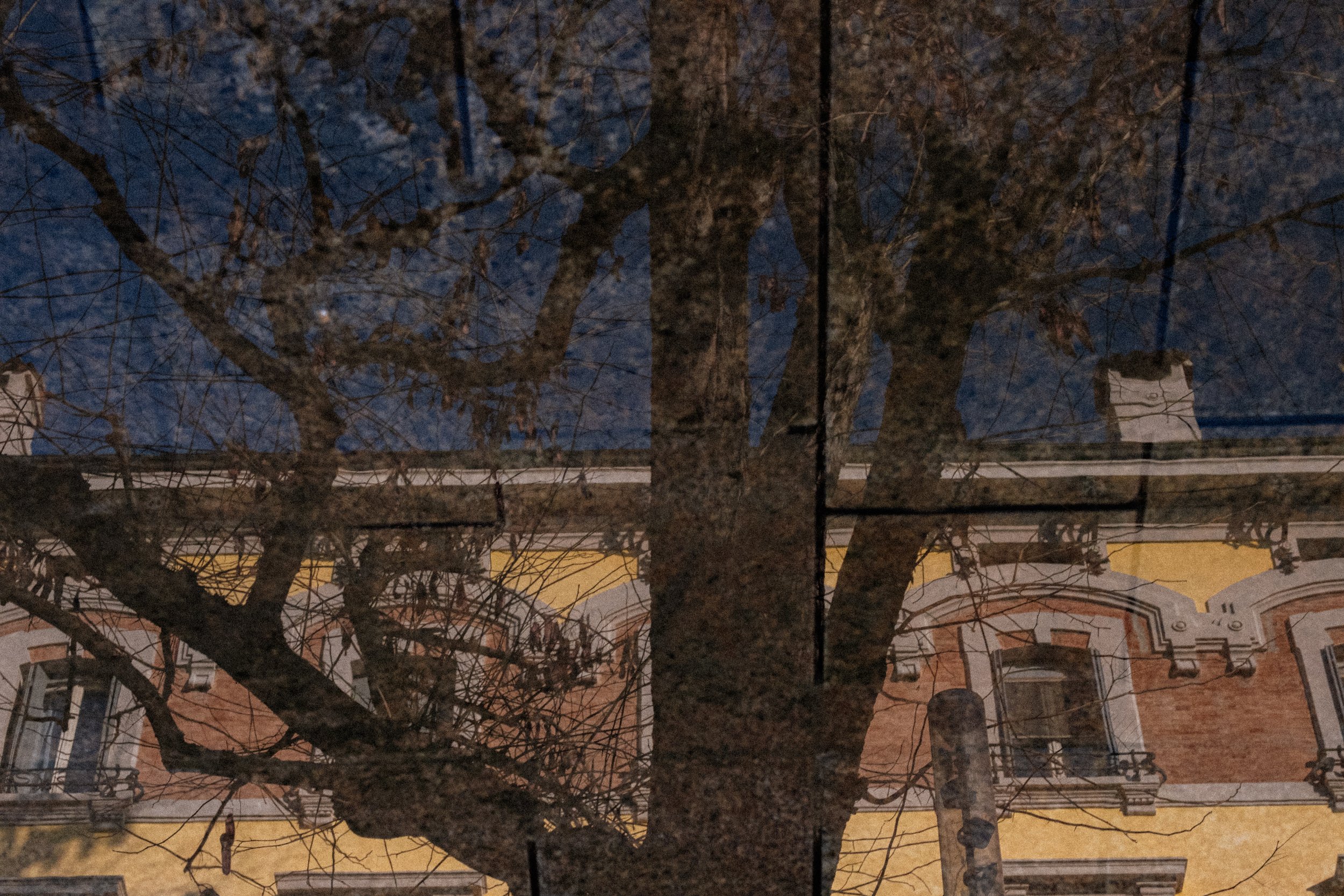 DSCF0284.jpg