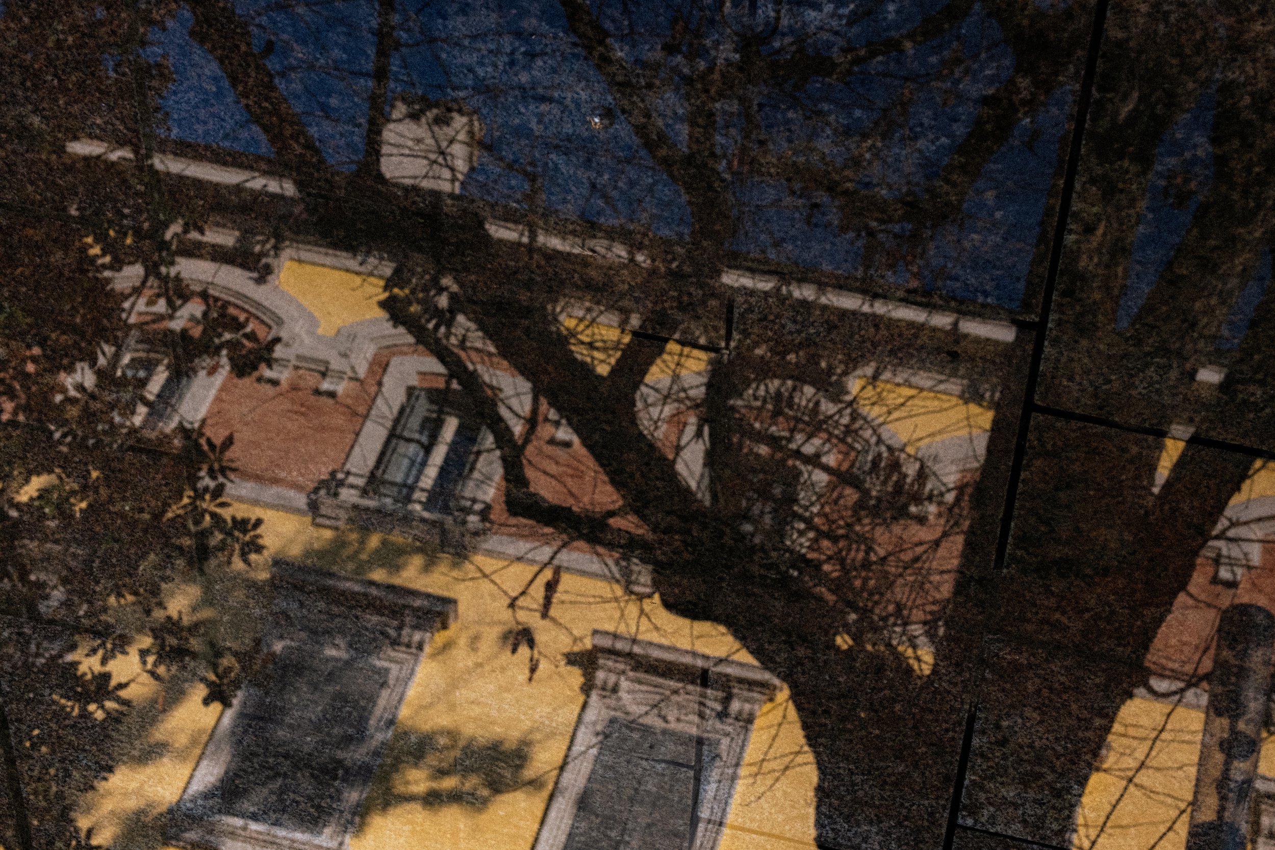 DSCF0291.jpg