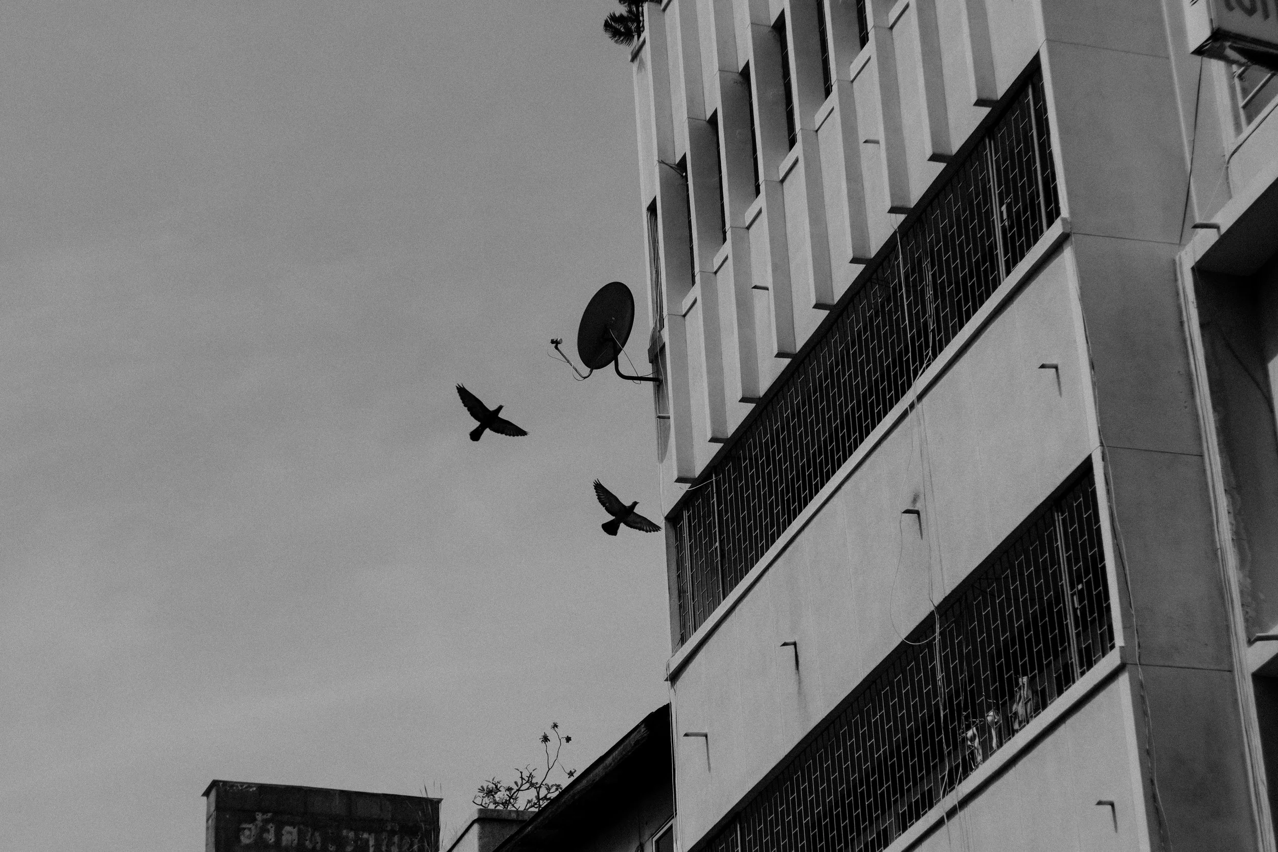 DSCF5846.jpg