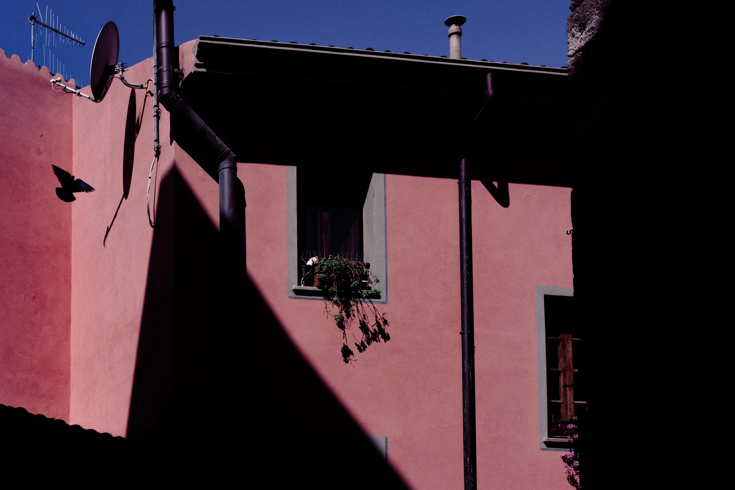 DSCF6382.jpg