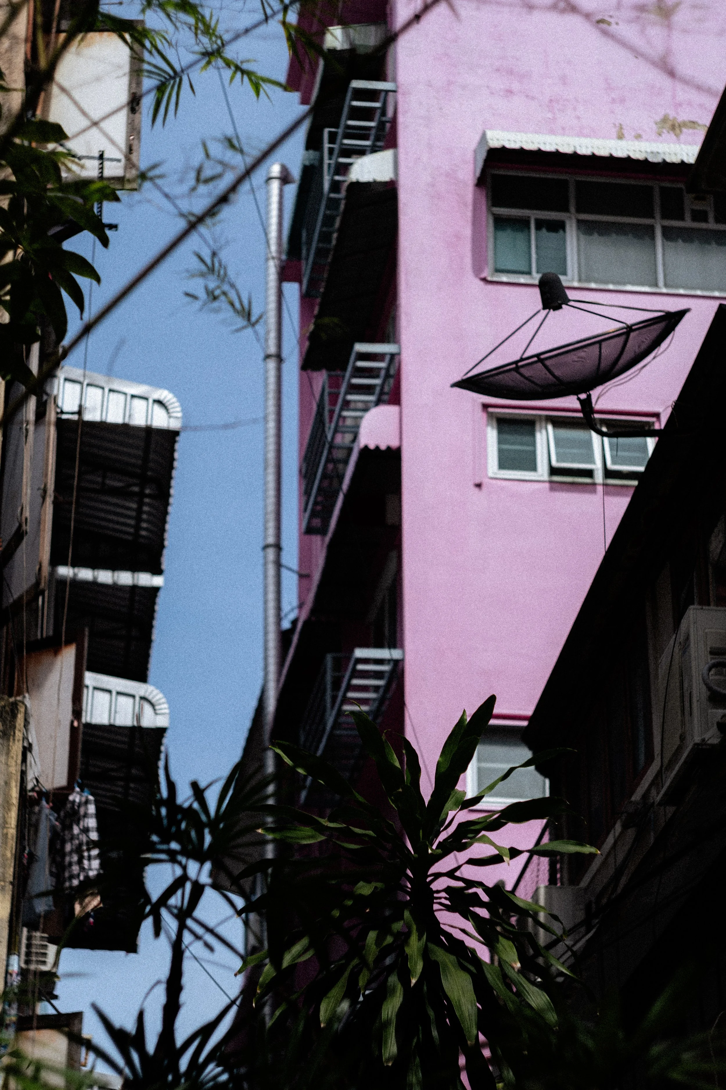 DSCF5926.jpg
