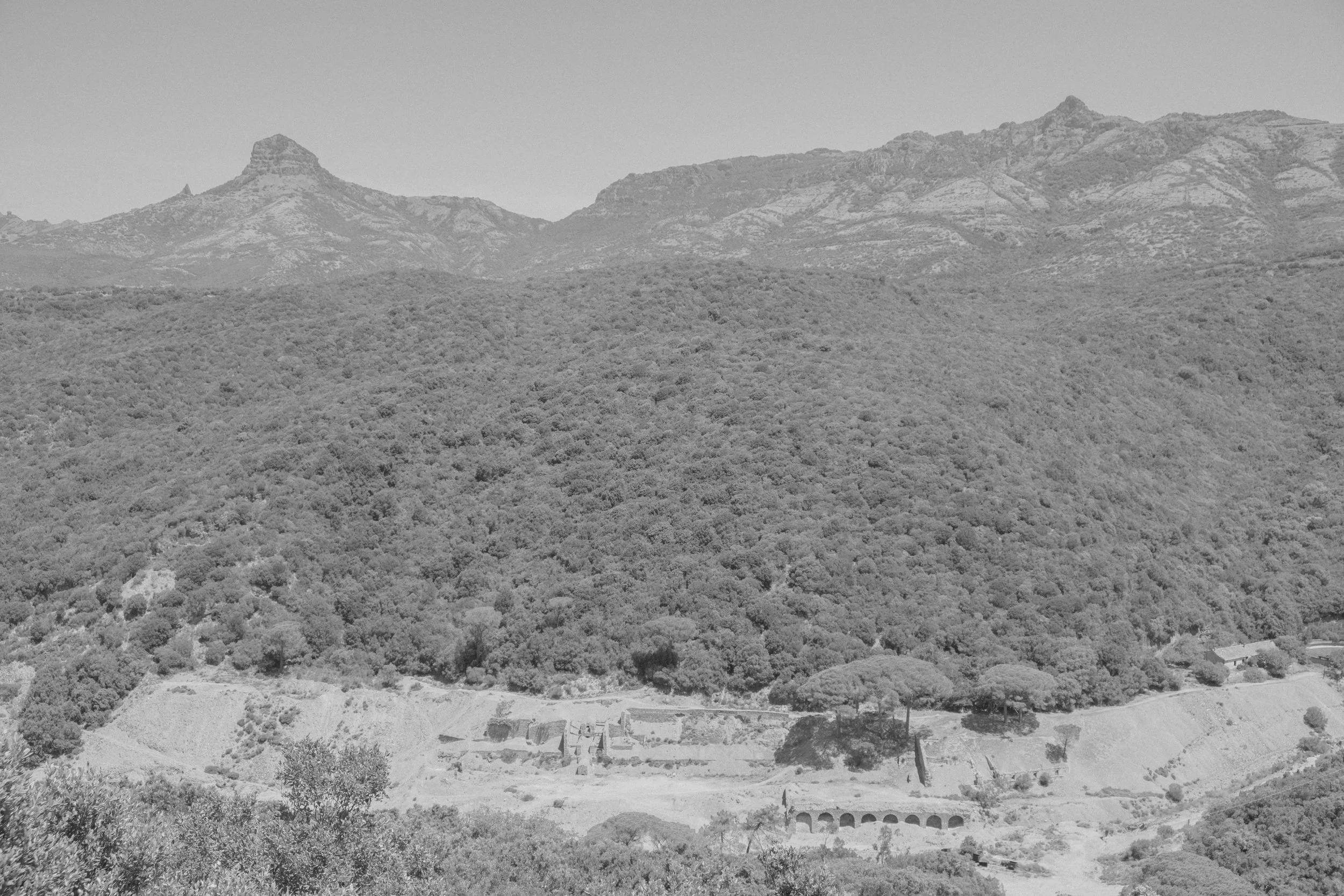 DSCF4328.jpg