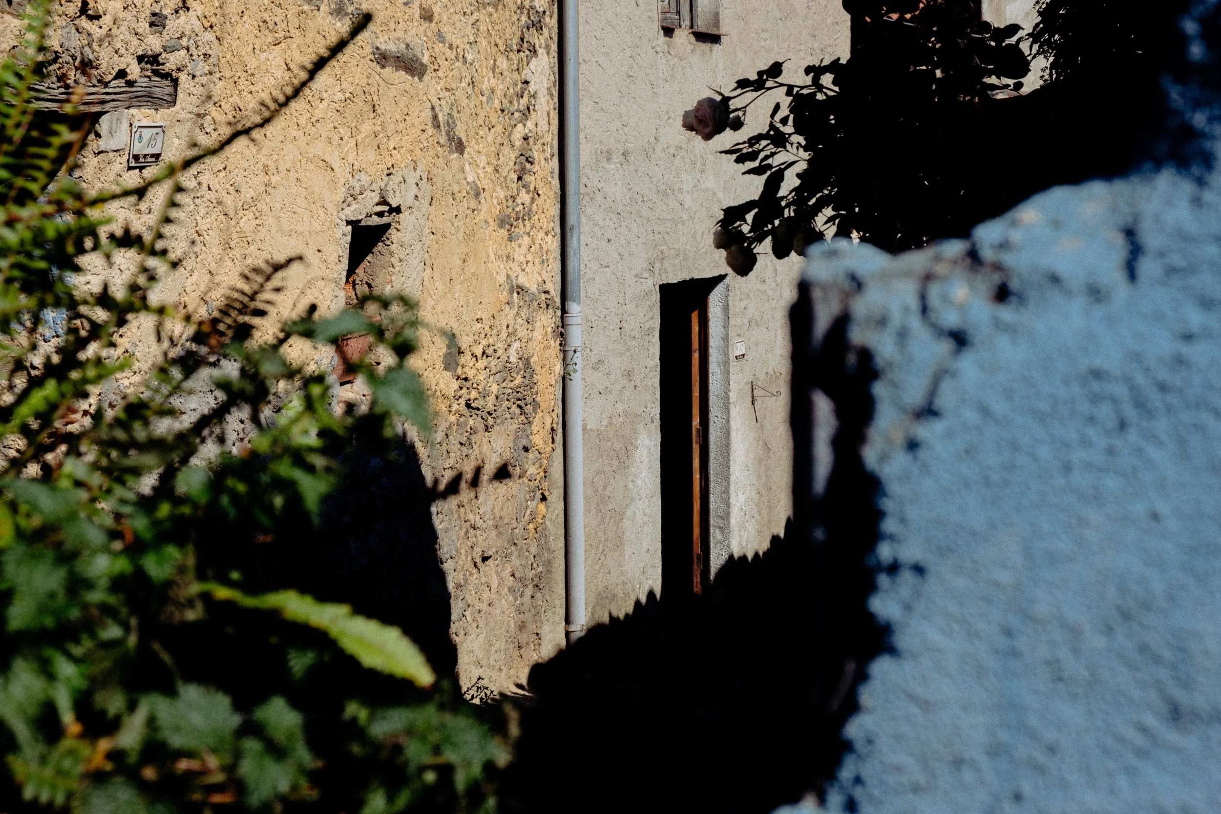 DSCF2949.jpg