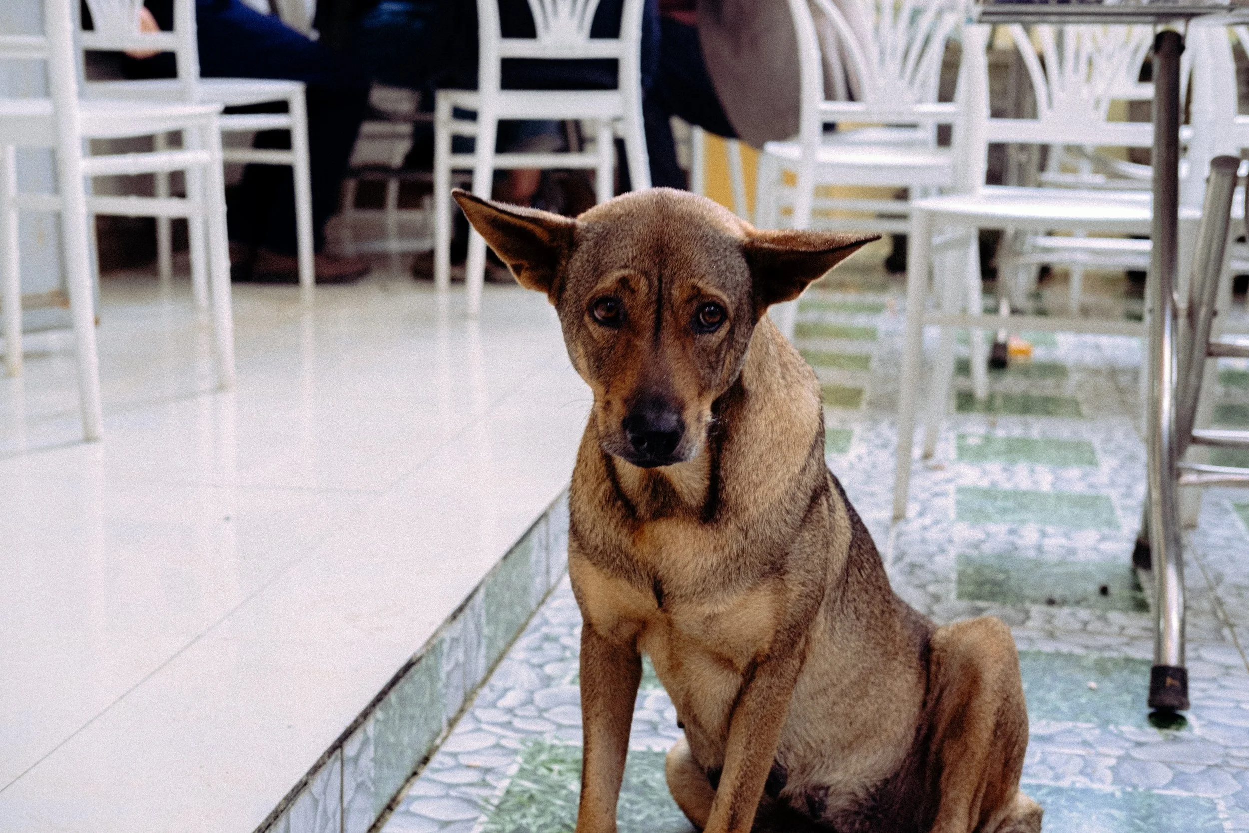 DSCF6341.jpg
