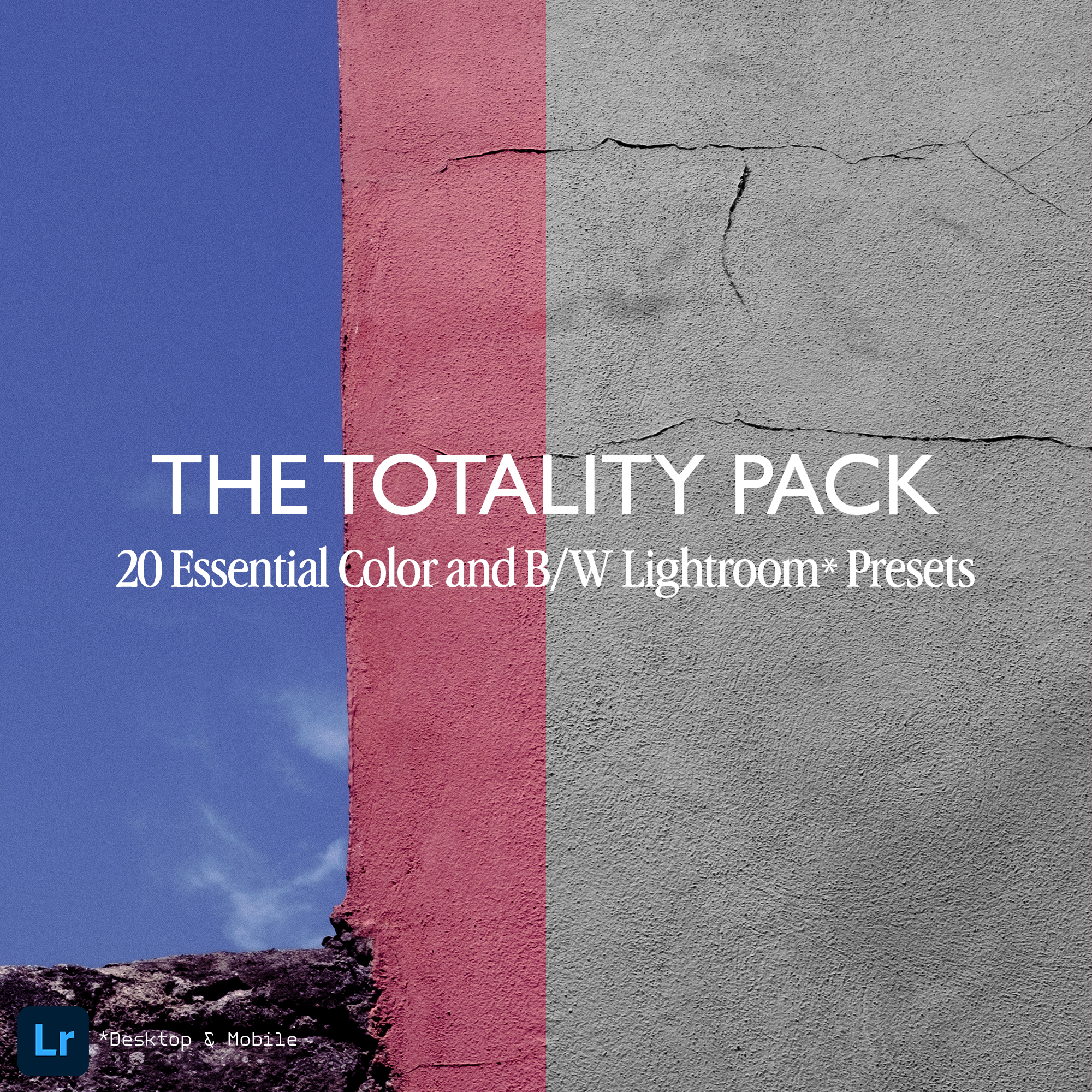 The Totality Pack / 20 Color & Black and White Lightroom Preset Pack