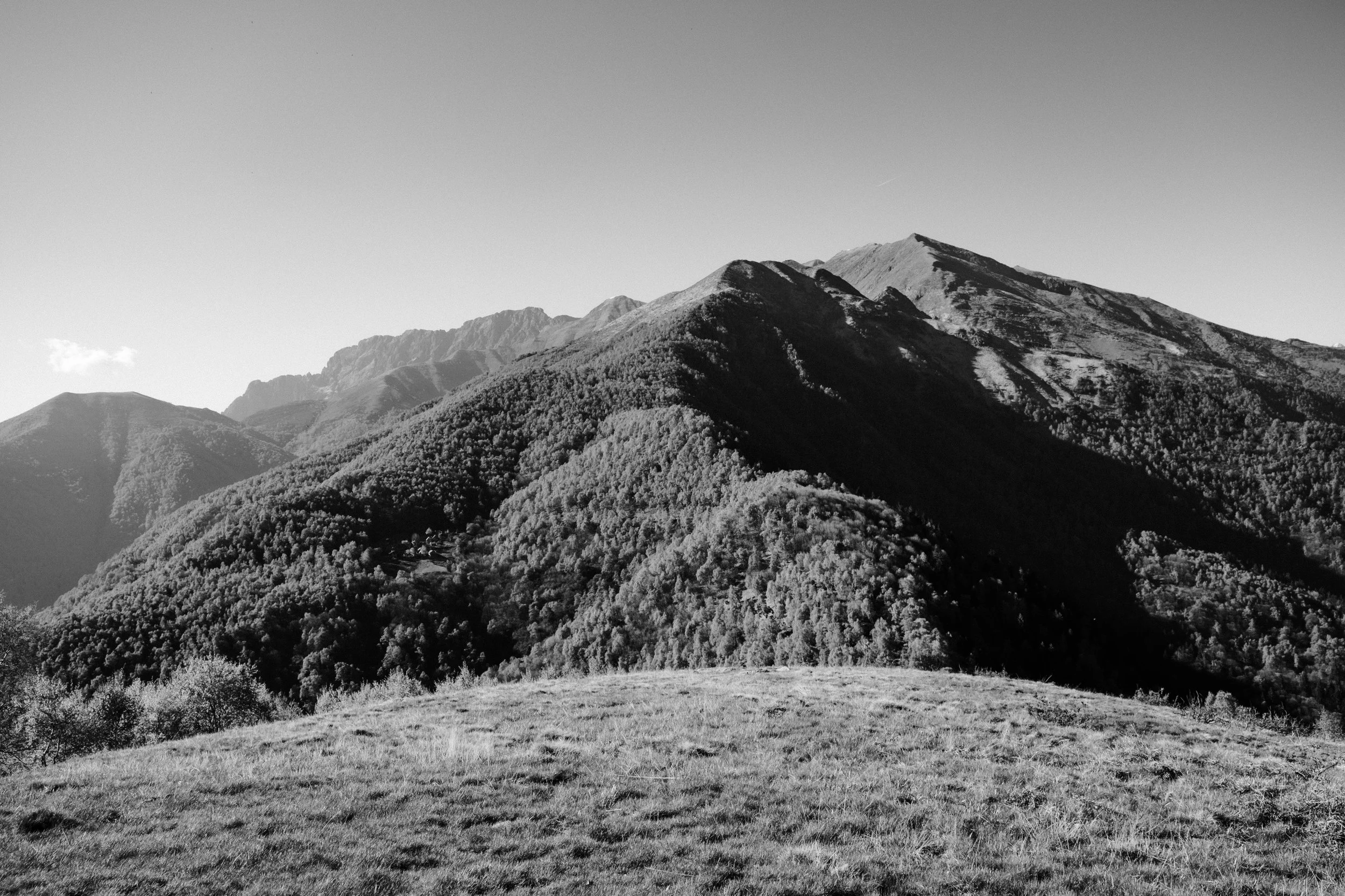 DSCF1138.jpg