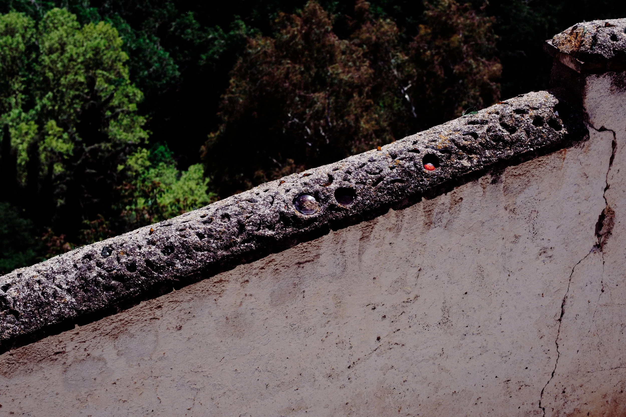 DSCF6310.jpg