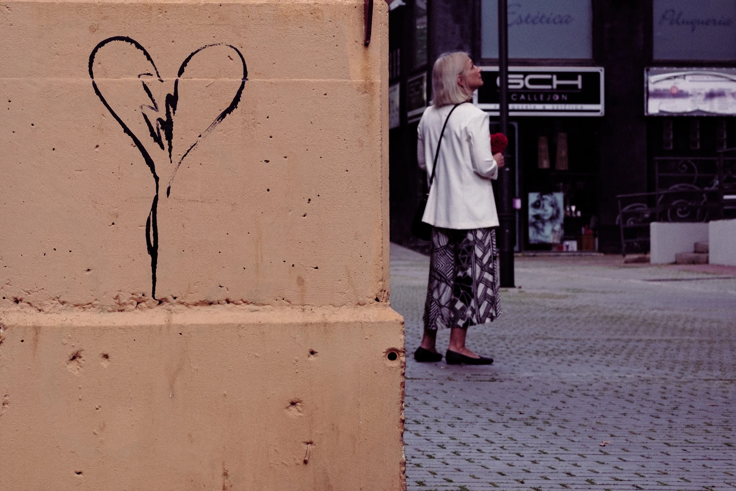 DSCF6857-2.jpg