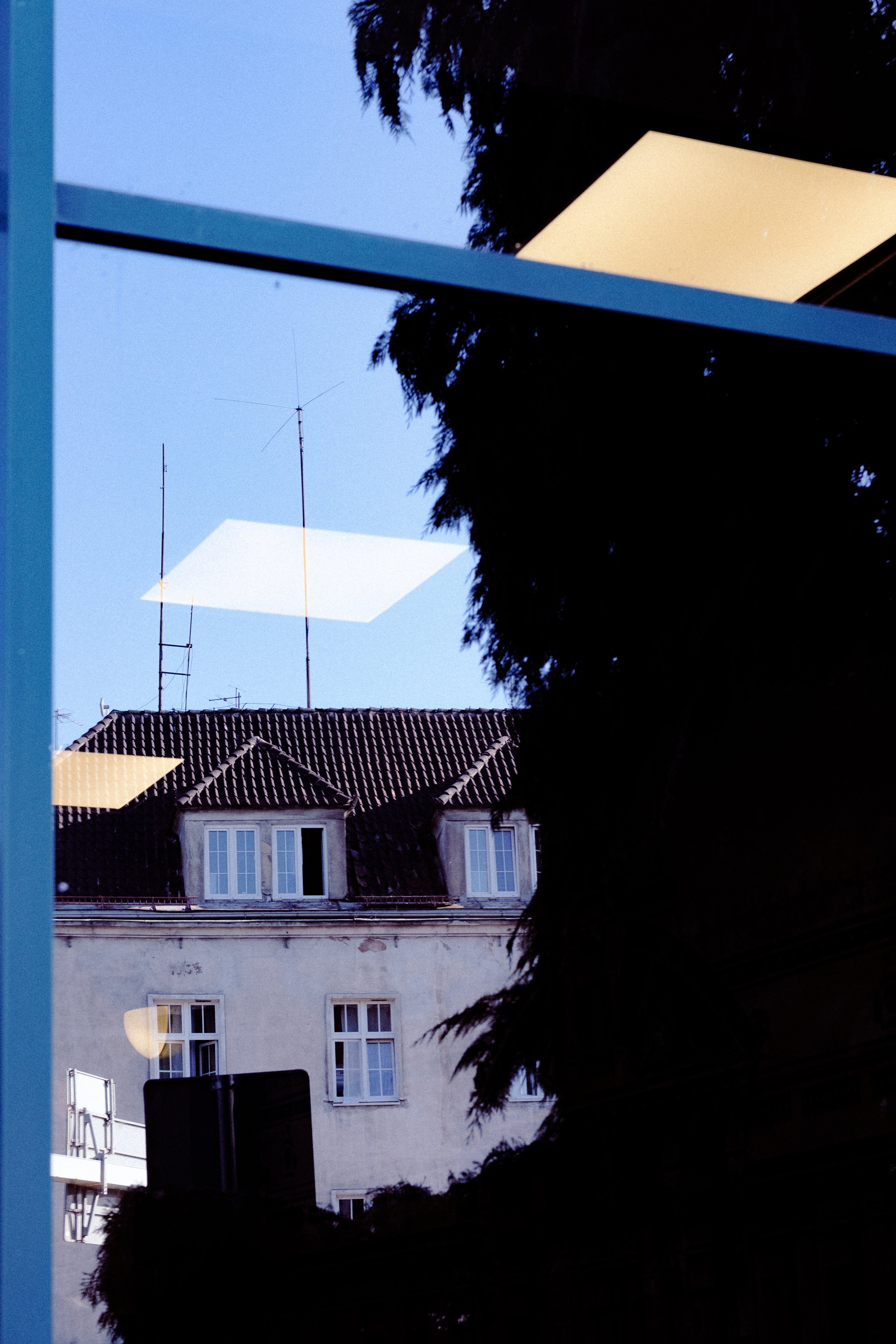DSCF5146.jpg