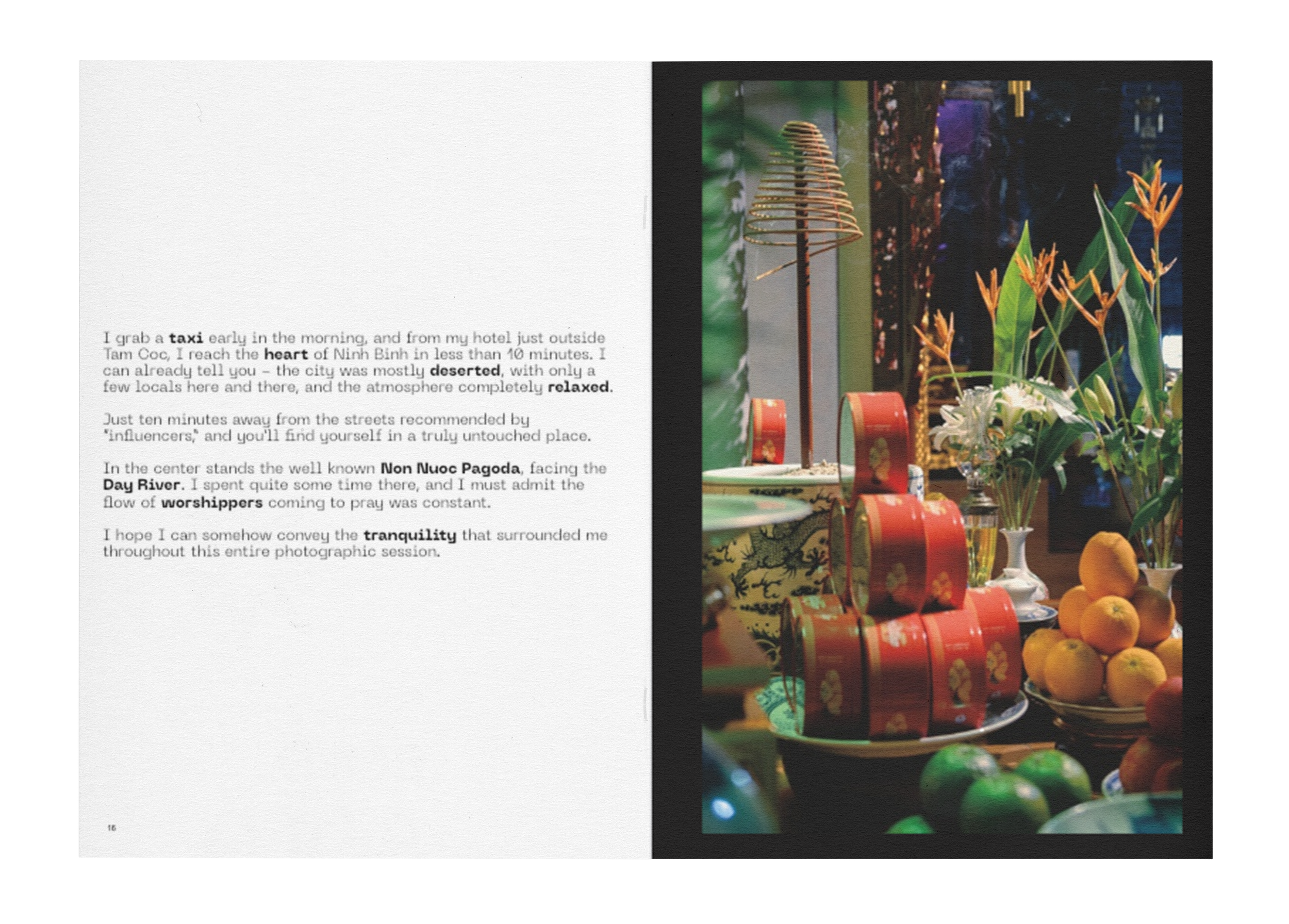 another image IVI v9.png