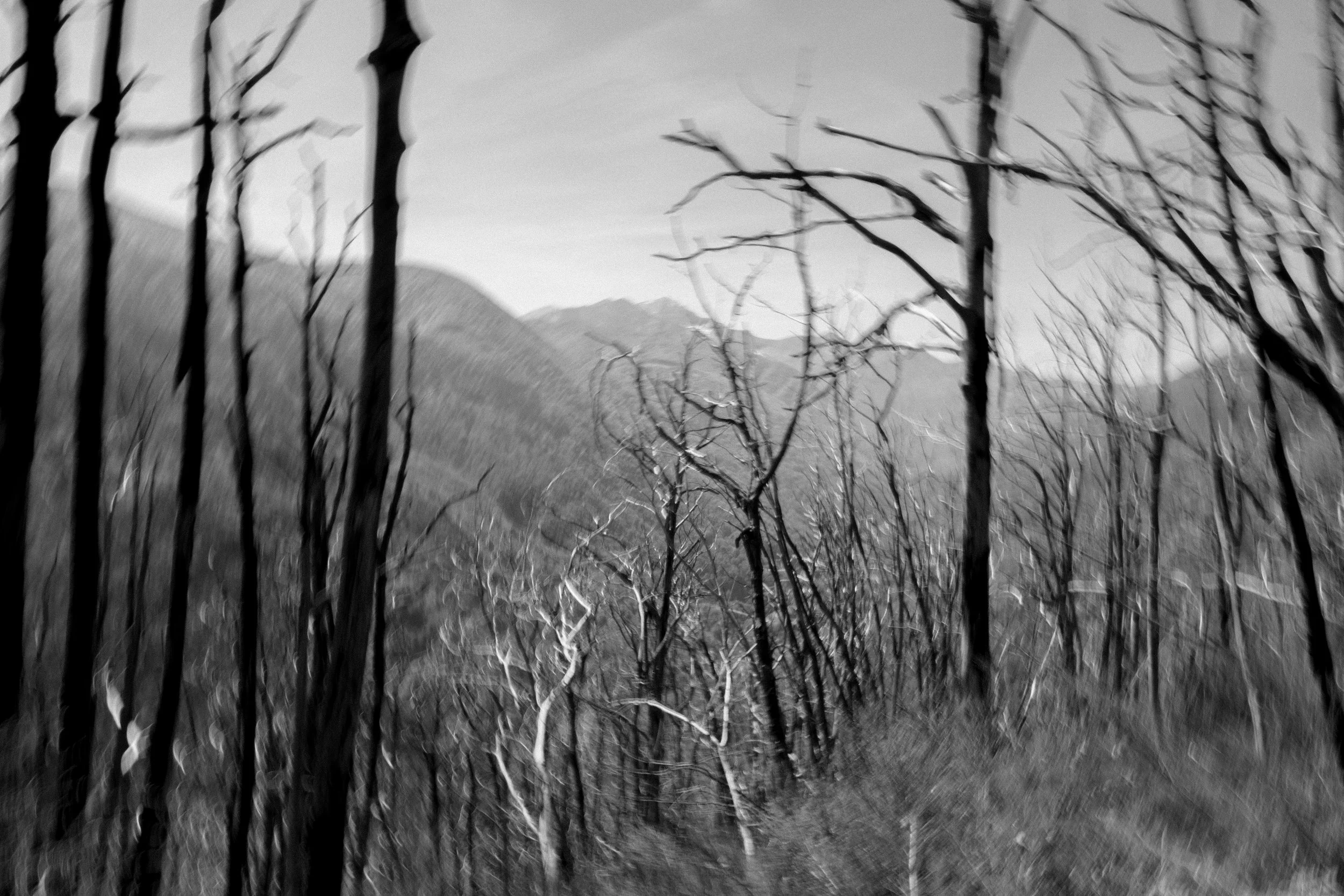 DSCF0889.jpg