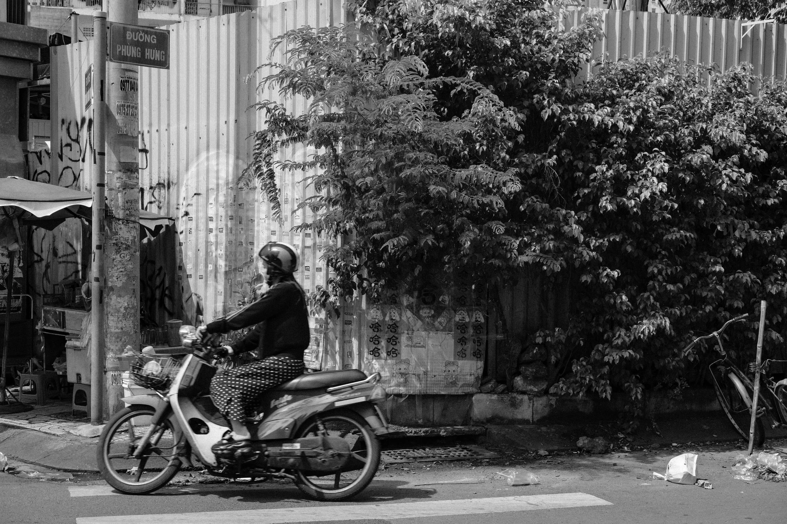 DSCF0681.jpg