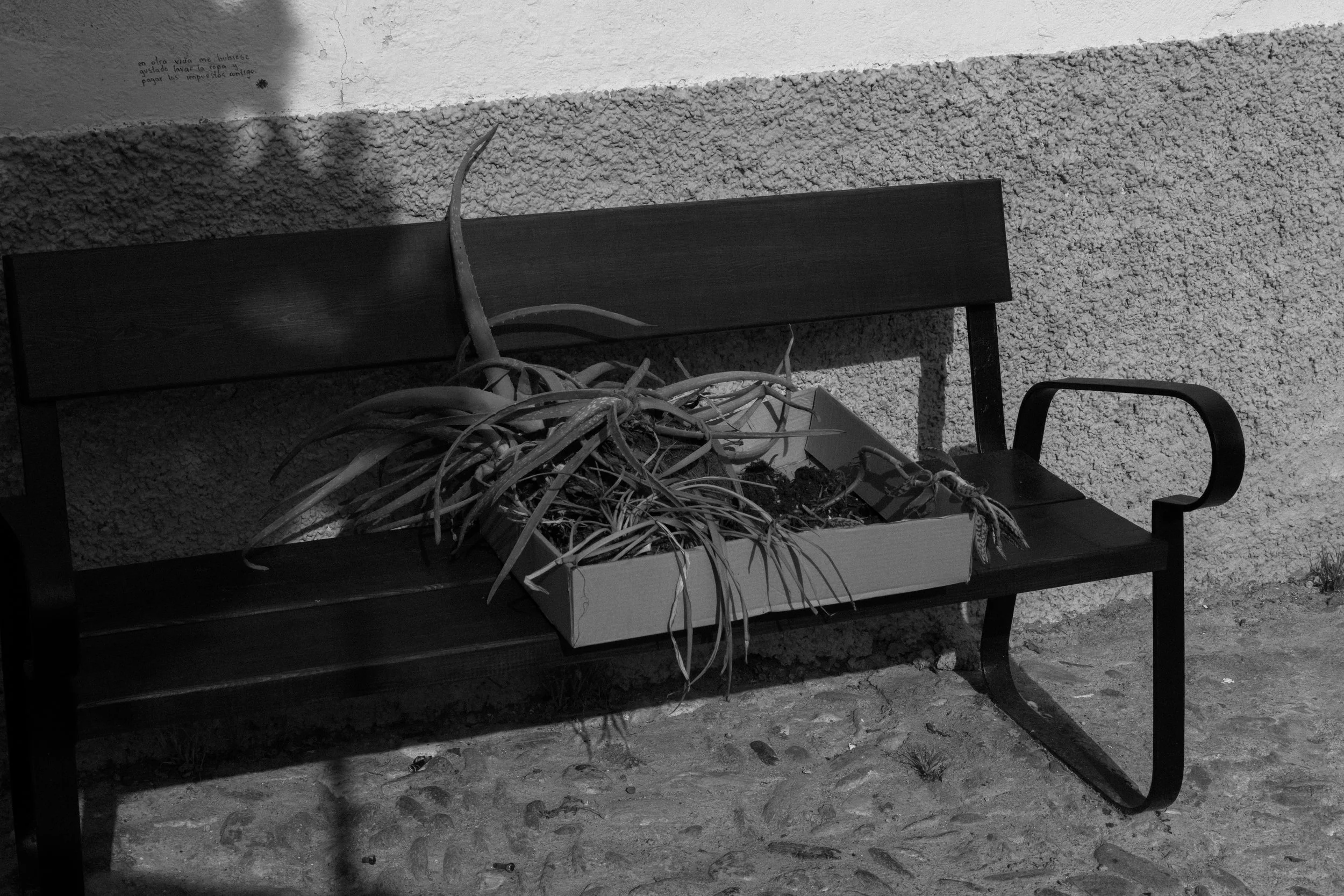 DSCF5941.jpg